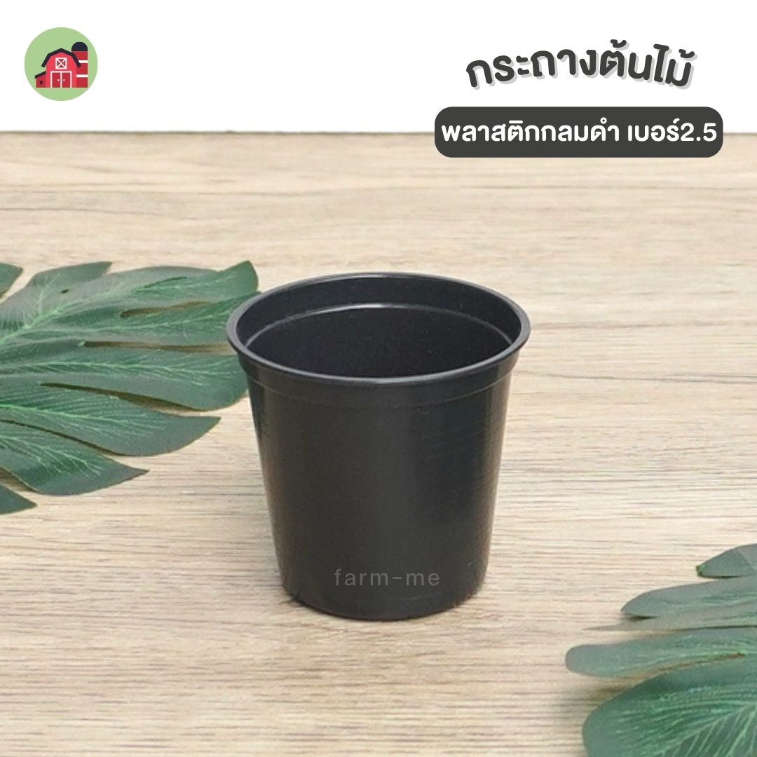 กระถางต้นไม้ กลมดำ เบอร์2.5