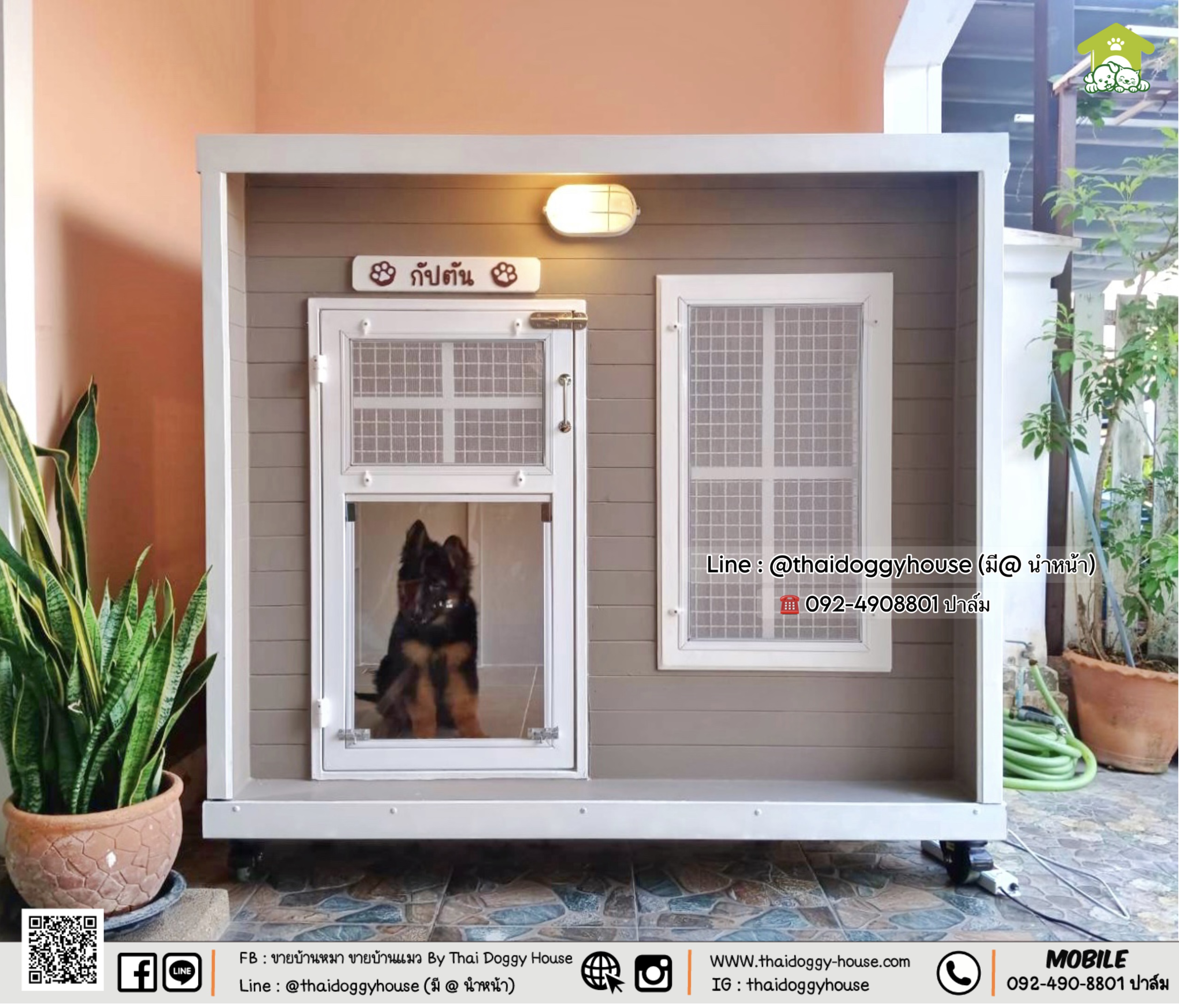 บ้านหมา บ้านแมว 𝐓𝐡𝐚𝐢 𝐝𝐨𝐠𝐠𝐲 𝐡𝐨𝐮𝐬𝐞 🐈🦮🐾 ✨แบบบ้าน 𝐁𝐨𝐱 𝐬𝐭𝐲𝐥e