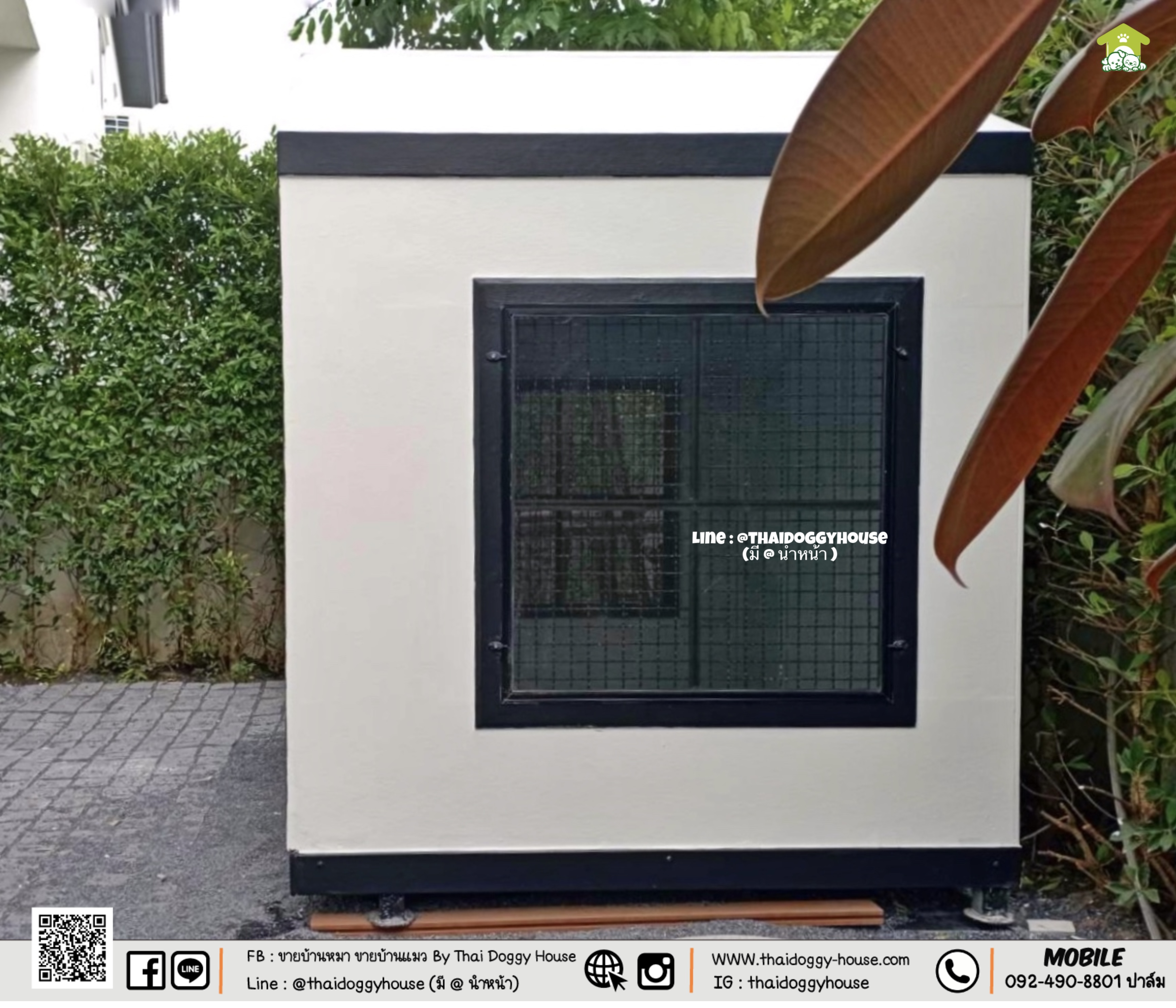 𝗠𝗜𝗡𝗜𝗠𝗔𝗟 𝗦𝗧𝗬𝗟𝗘 บ้านหมา บ้านแมว " 𝐓𝐇𝐀𝐈 𝐃𝐎𝐆𝐆𝐘 𝐇𝐎𝐔𝐒E