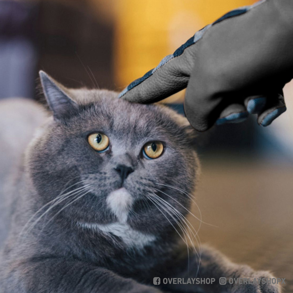 FOGY CHECKERS BK GLOVE