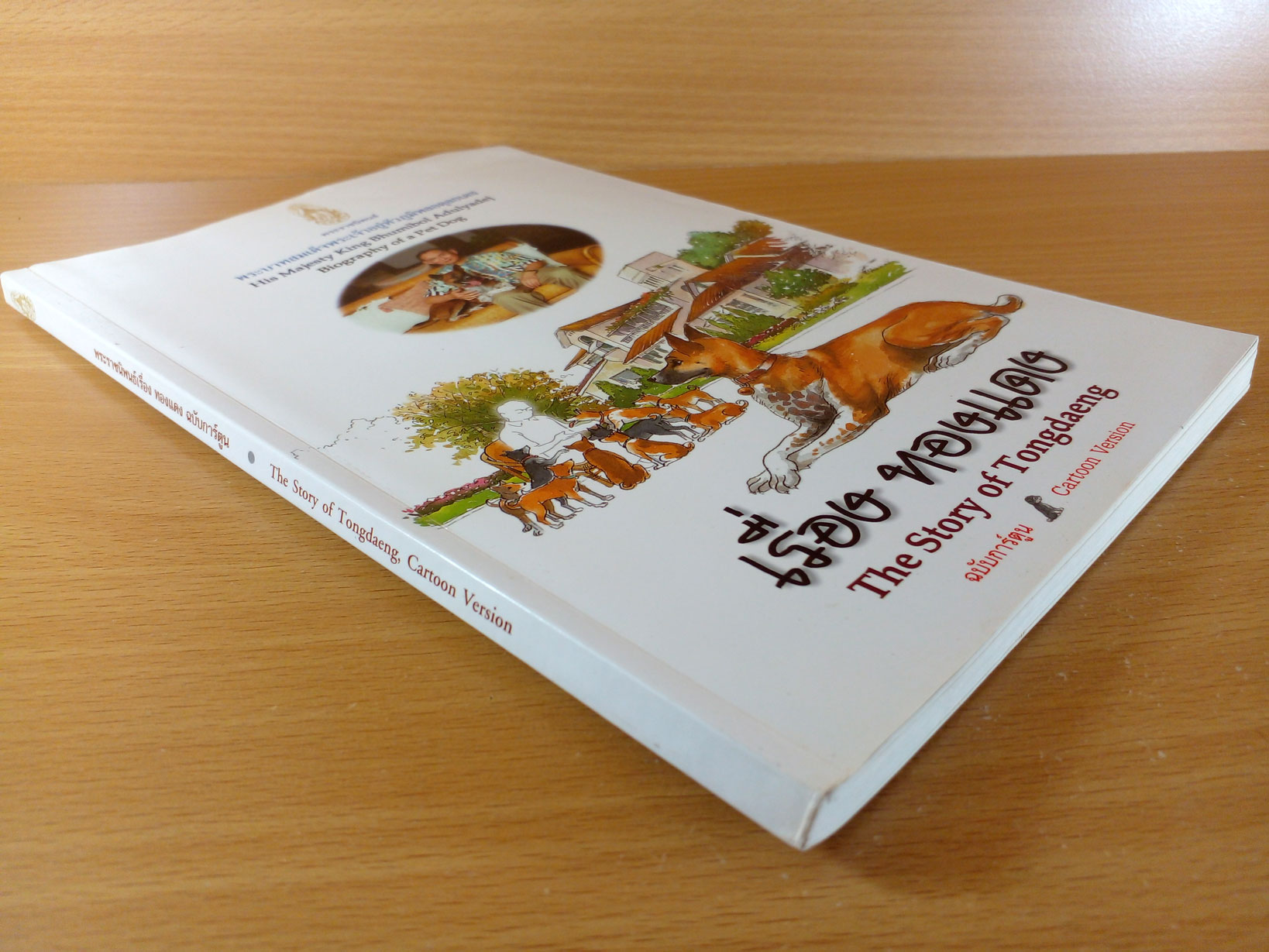 เรื่องทองแดงฉบับการ์ตูน