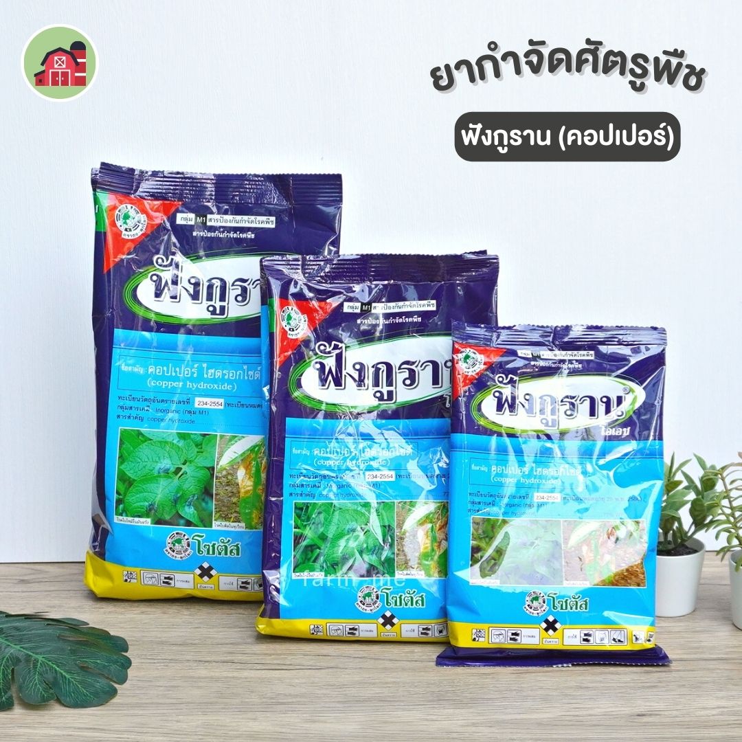 ฟังกูราน(คอปเปอร์)