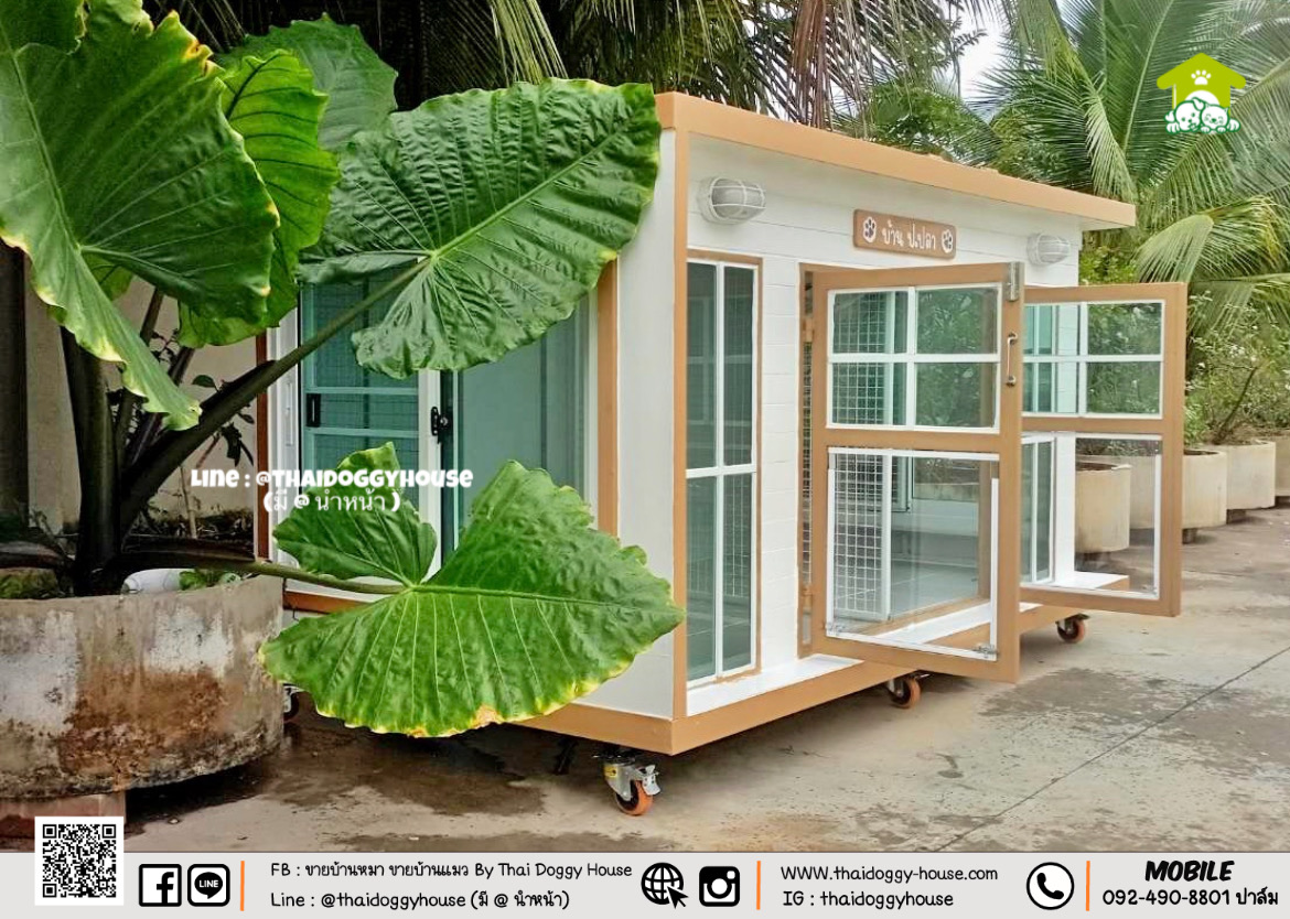 บ้านหมา บ้านแมว " 𝐁𝐎𝐗 𝐒𝐓𝐘𝐋𝐄 𝐁𝐘 𝐓𝐇𝐀𝐈 𝐃𝐎𝐆𝐆𝐘 𝐇𝐎𝐔𝐒𝐄 " &#x