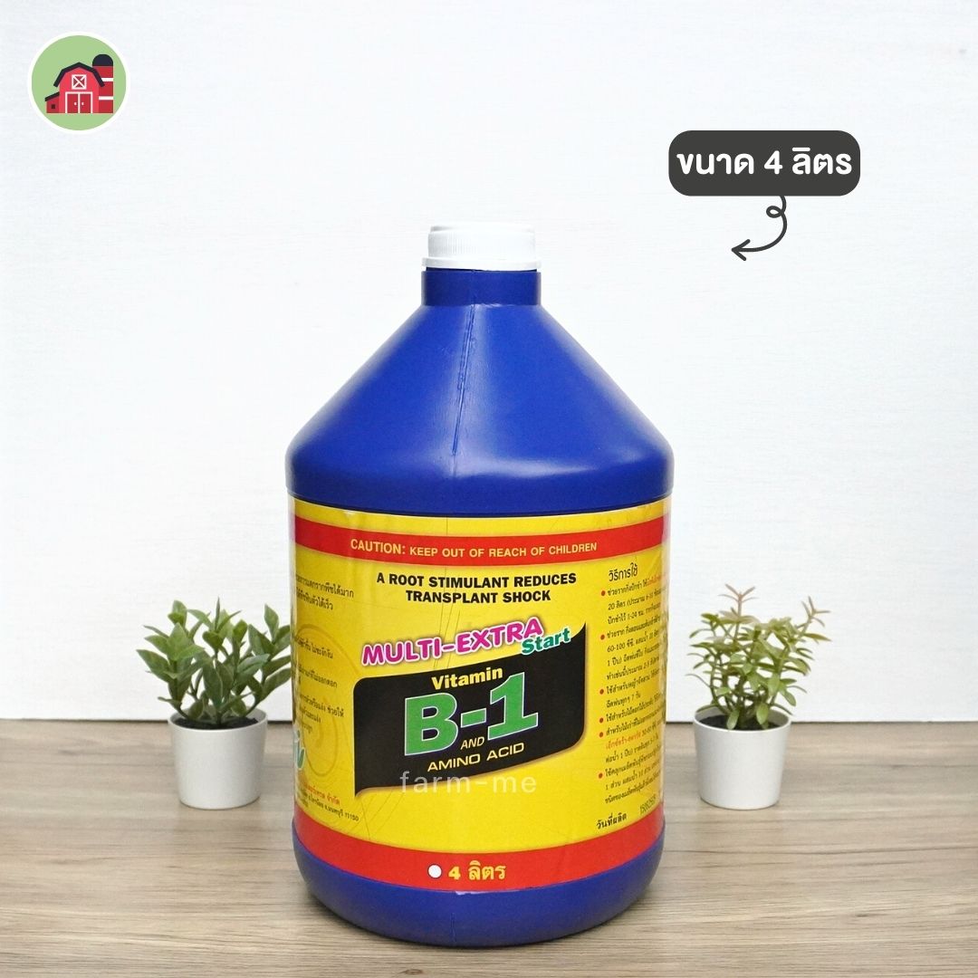 วิตามิน B1