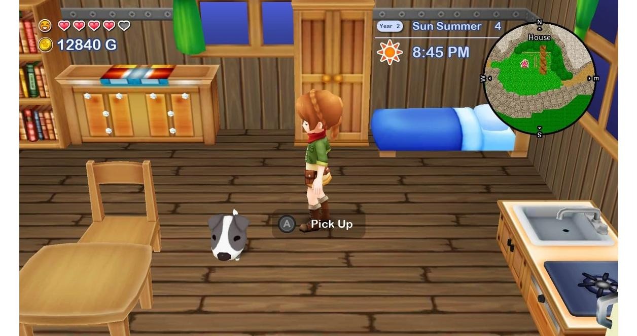 NSW: Harvest Moon The Lost Valley & Skytree Village (US) (EN)