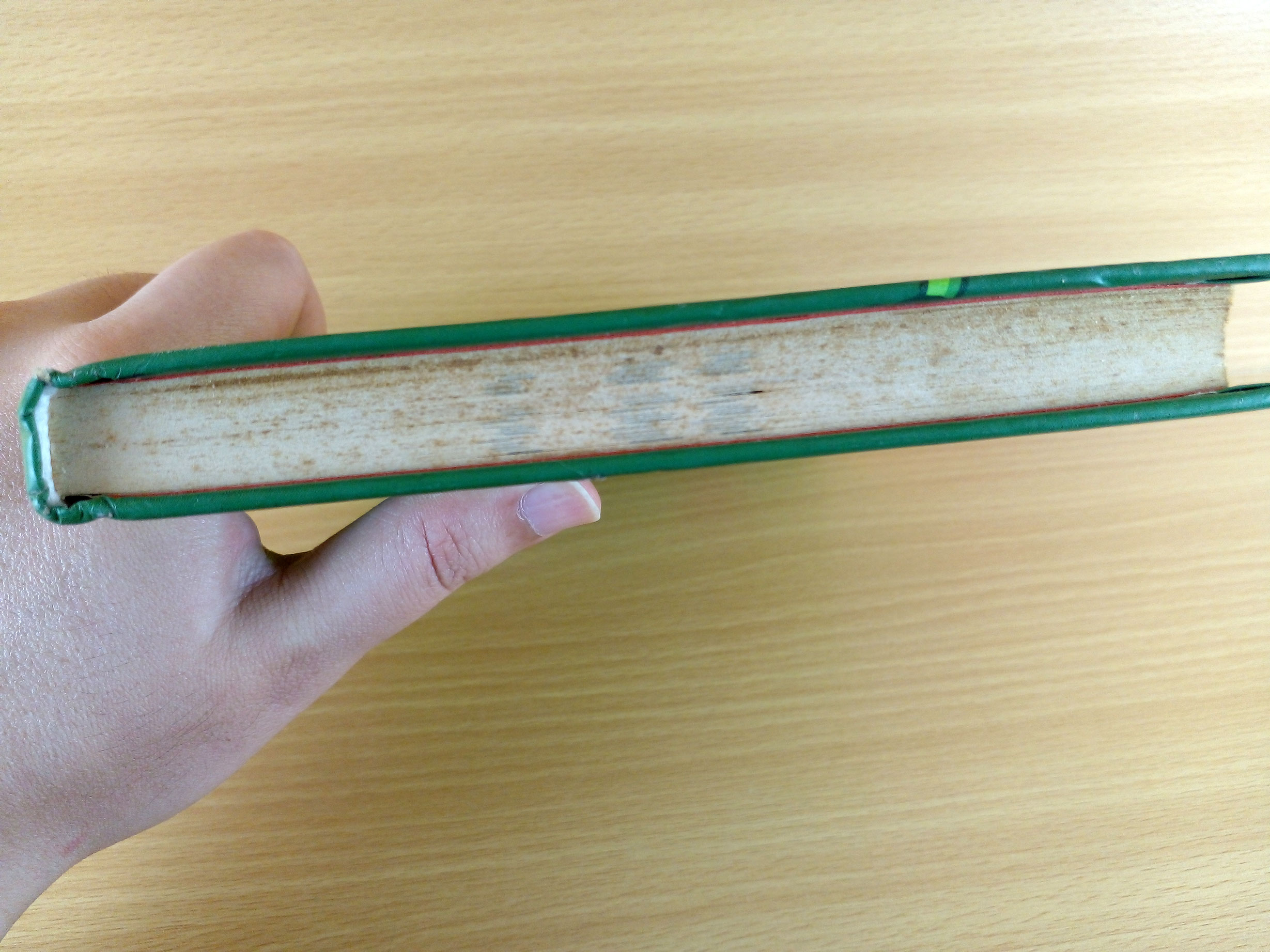 My Big Fat Zombie Goldfish