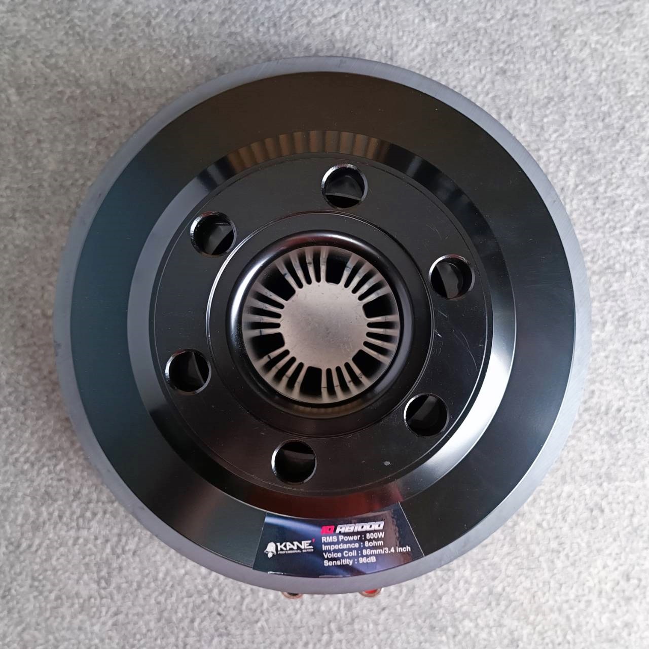 KANE 10AB1000 ลำโพง10นิ้ว ดอกลำโพง 10" 10AB-1000 KA NE คาเน่ 10AB 1000 เอไอ-ไพศาล