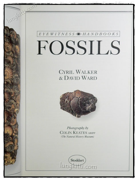 EYEWITNESS HANDBOOKS : FOSSILS 023856