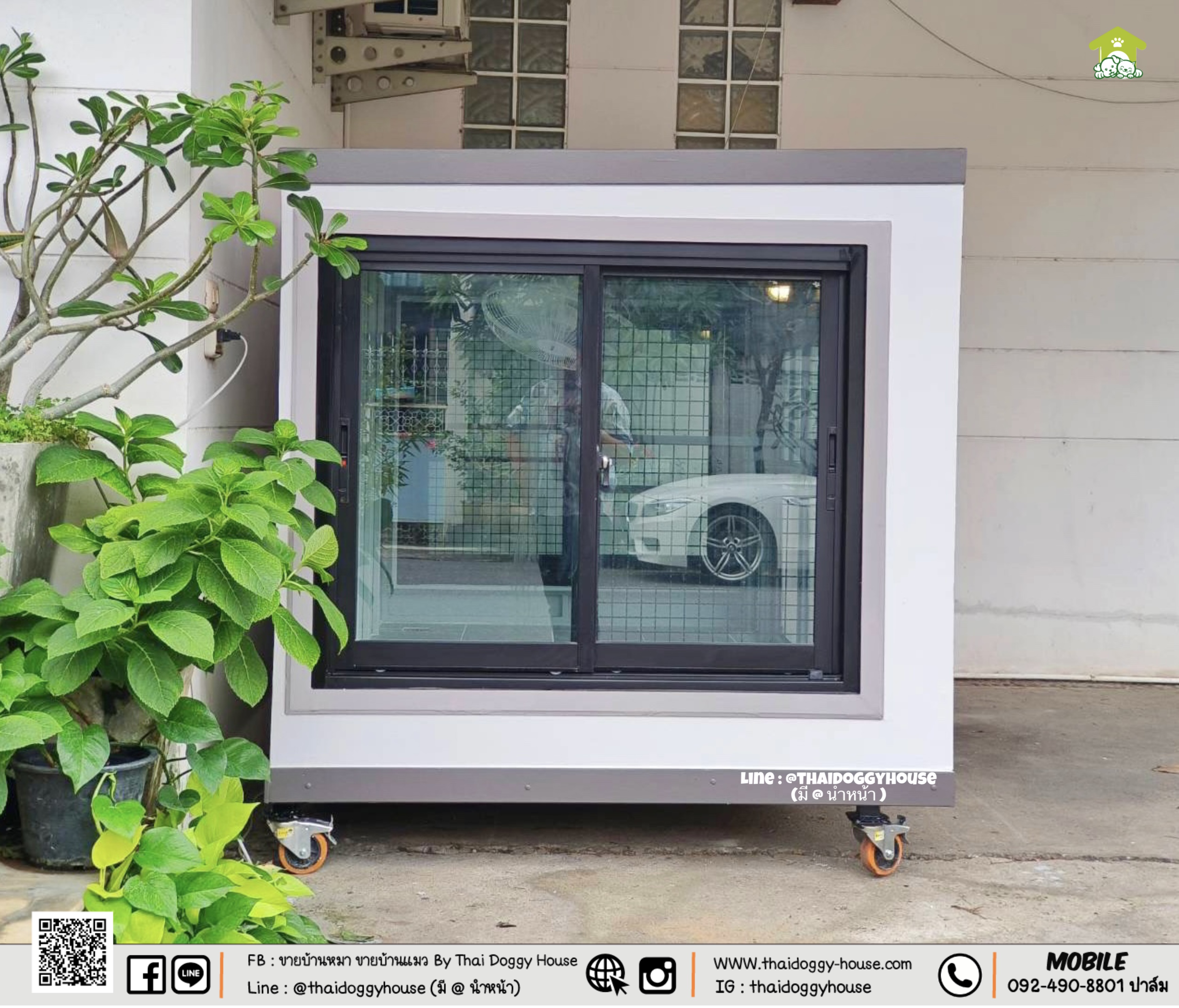 บ้านหมา บ้านแมว " 𝐁𝐎𝐗 𝐒𝐓𝐘𝐋𝐄 𝐁𝐘 𝐓𝐇𝐀𝐈 𝐃𝐎𝐆𝐆𝐘 𝐇𝐎𝐔𝐒𝐄 "