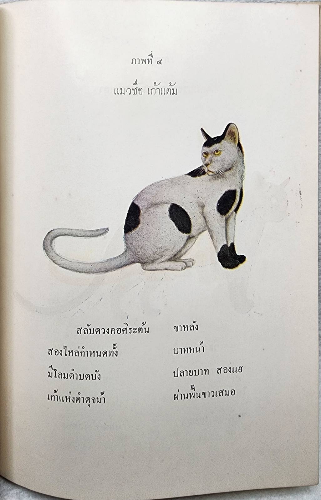 ตำราดูแมว กวนข้าวทิพย์ - พิธีพิรุณศาสตร์ และผลงานสมเด็จ SKU-09913