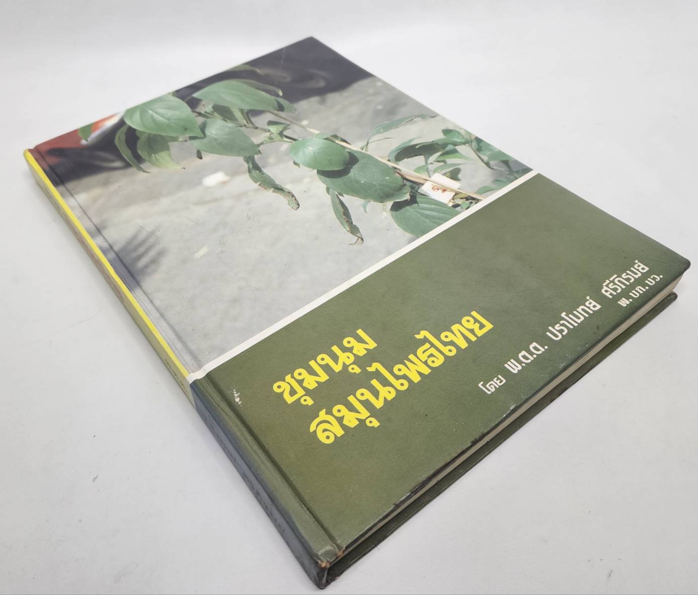 ชุมนุมสมุนไพรไทย 027185
