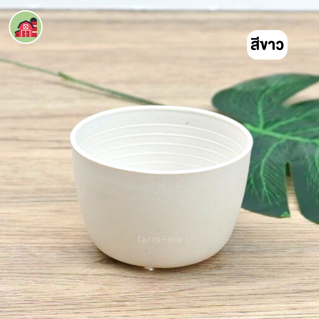 กระถางแคคตัส กลม ขนาด 2.5 นิ้ว แพ็ค50ใบ