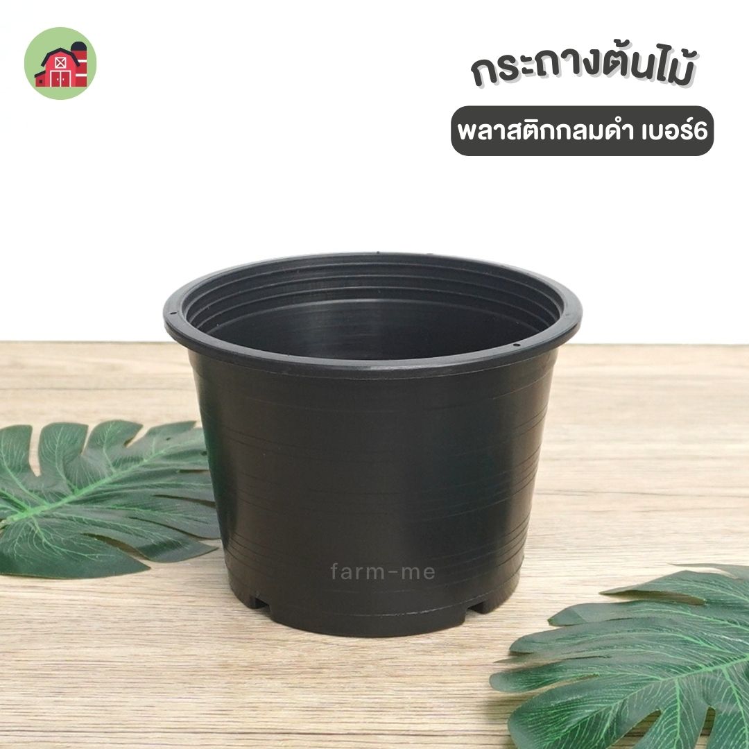 กระถางต้นไม้ กลมดำ เบอร์6