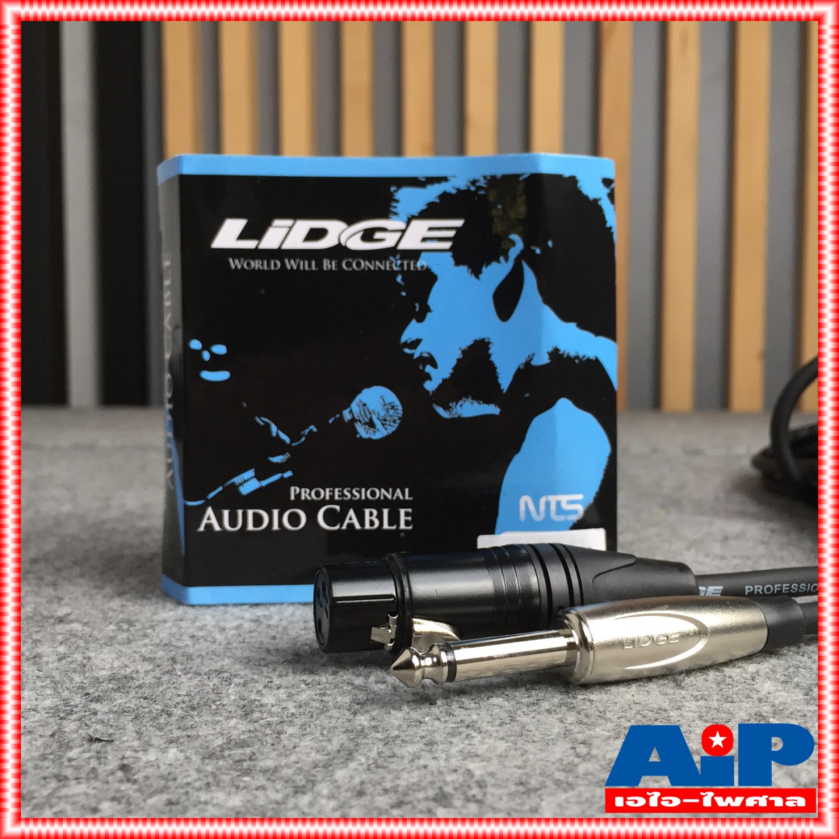 10เมตร LIDGE YM-379B สายXLR เมีย- PHONE ผู้ YM379B สาย10เมตร สายXLR หัวท้าย YM 379 B สาย XLR เมีย - โฟนผู้ 10M สาย cannon เมีย - ปลั๊กไมค์ สายไมค์10เมตร เอไอ-ไพศาล