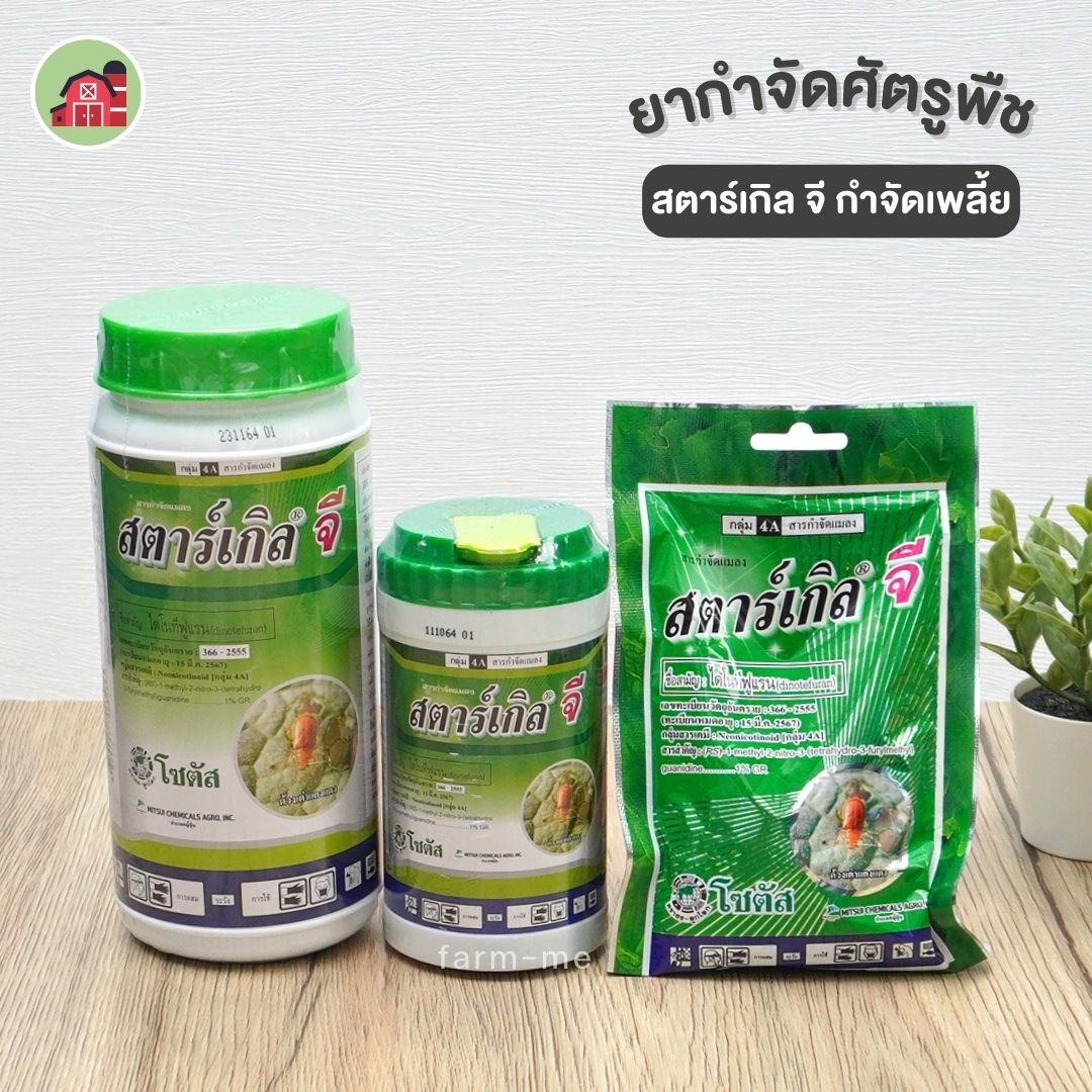 สตาร์เกิลจี กำจัดเพลียแป้ง