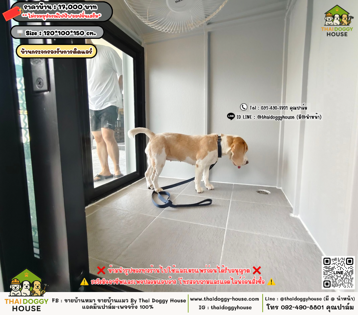 บ้านหมา บ้านแมว 𝐓𝐡𝐚𝐢 𝐝𝐨𝐠𝐠𝐲 𝐡𝐨𝐮𝐬𝗲