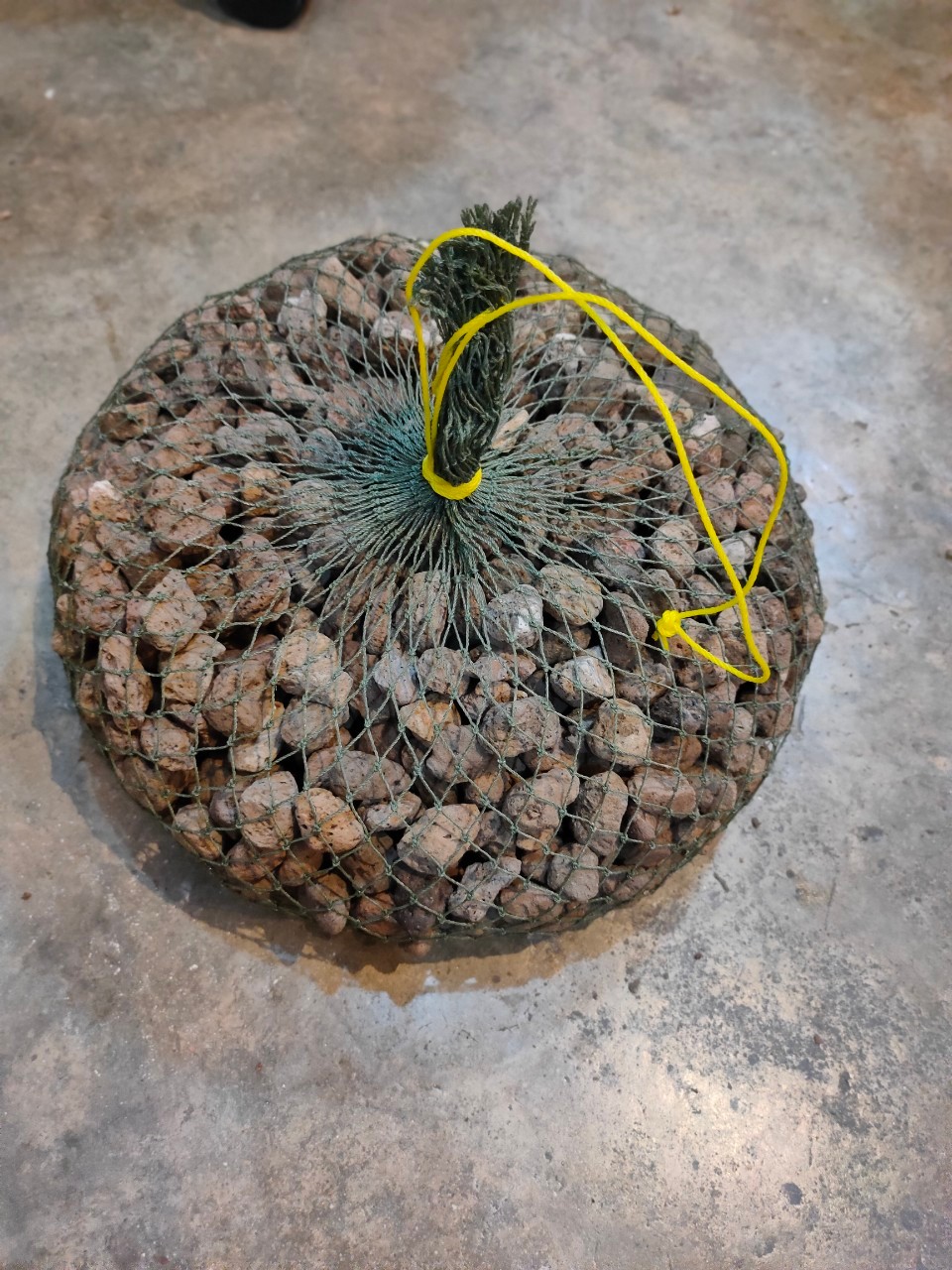 หินพัมมิส หินภูเขาไฟ 1kg.