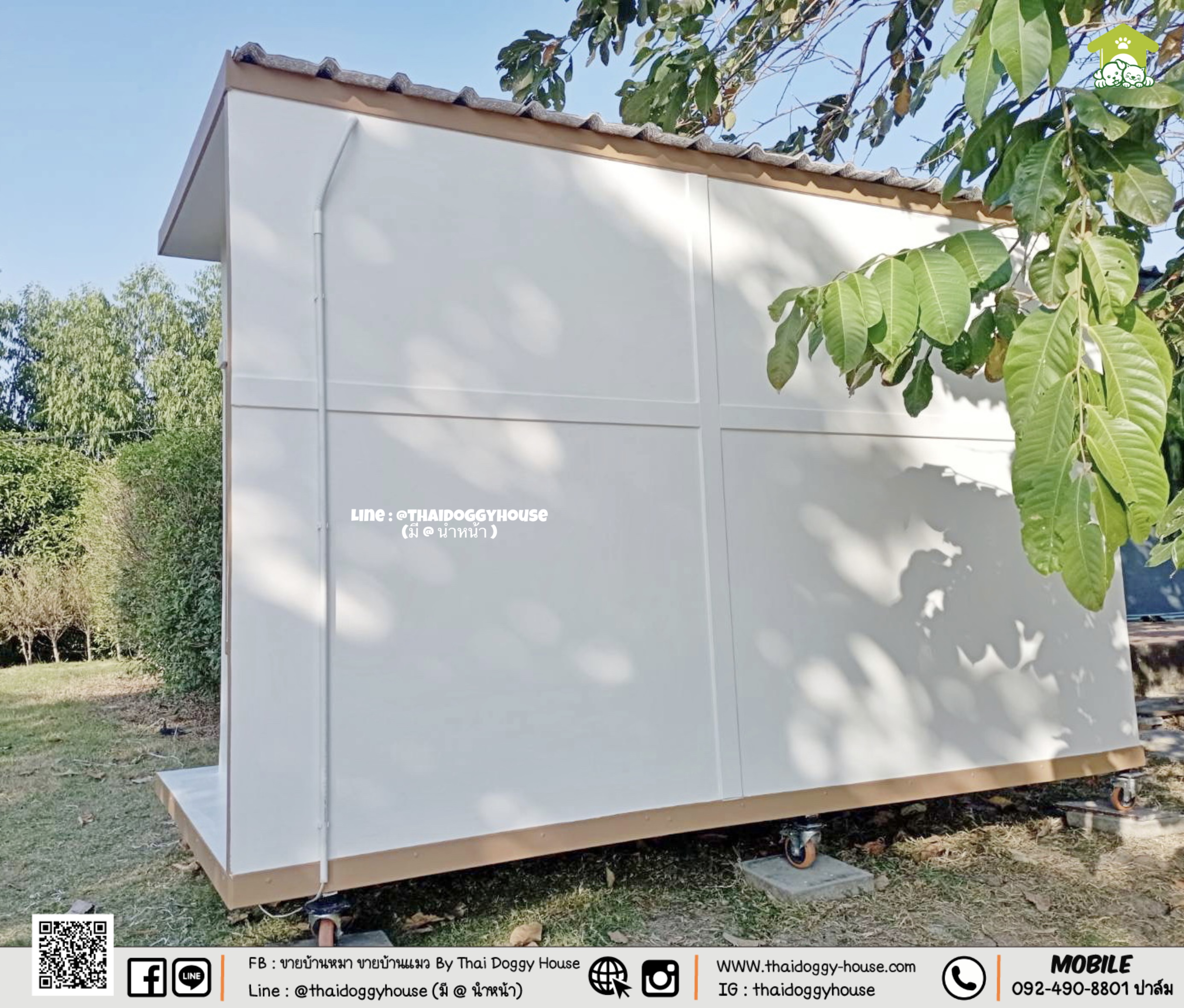 บ้านหมา บ้านแมว " 𝐁𝐎𝐗 𝐒𝐓𝐘𝐋𝐄 𝐁𝐘 𝐓𝐇𝐀𝐈 𝐃𝐎𝐆𝐆𝐘 𝐇𝐎𝐔𝐒𝐄 "