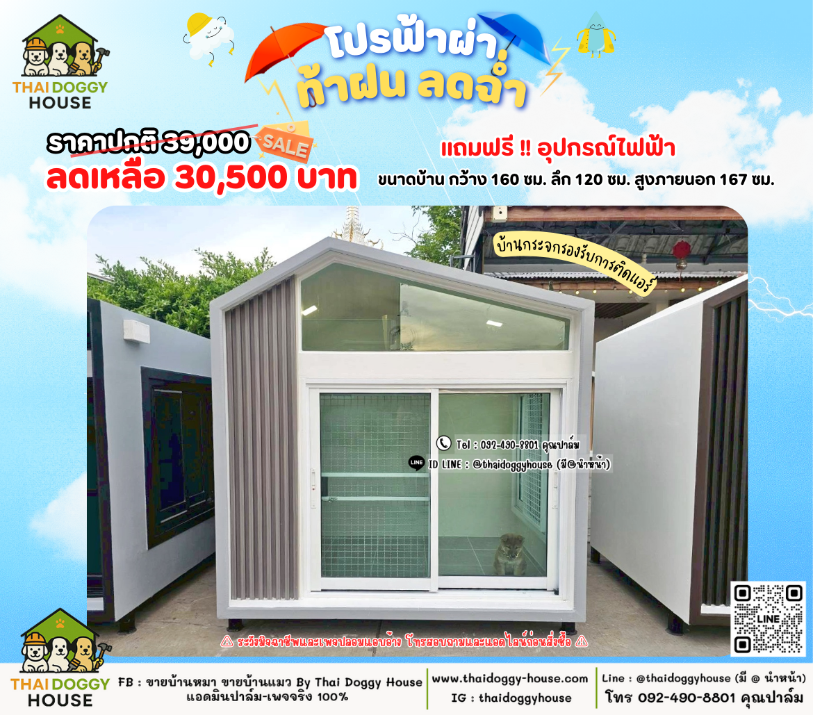 บ้านหมา บ้านแมว 𝐓𝐡𝐚𝐢 𝐝𝐨𝐠𝐠𝐲 𝐡𝐨𝐮𝐬𝗲