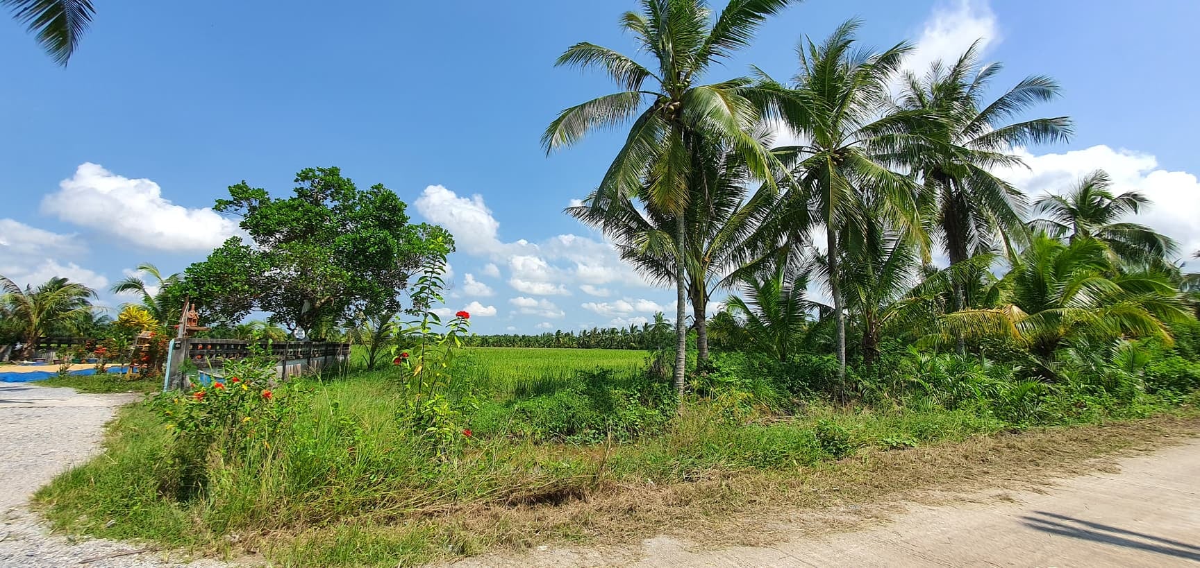 ที่ดินเปล่าทำเลดี 5 ไร่เศษ เมืองนครศรีธรรมราช