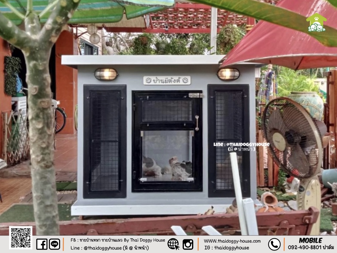 บ้านหมา บ้านแมว " 𝐁𝐎𝐗 𝐒𝐓𝐘𝐋𝐄 𝐁𝐘 𝐓𝐇𝐀𝐈 𝐃𝐎𝐆𝐆𝐘 𝐇𝐎𝐔𝐒𝐄 " &#x