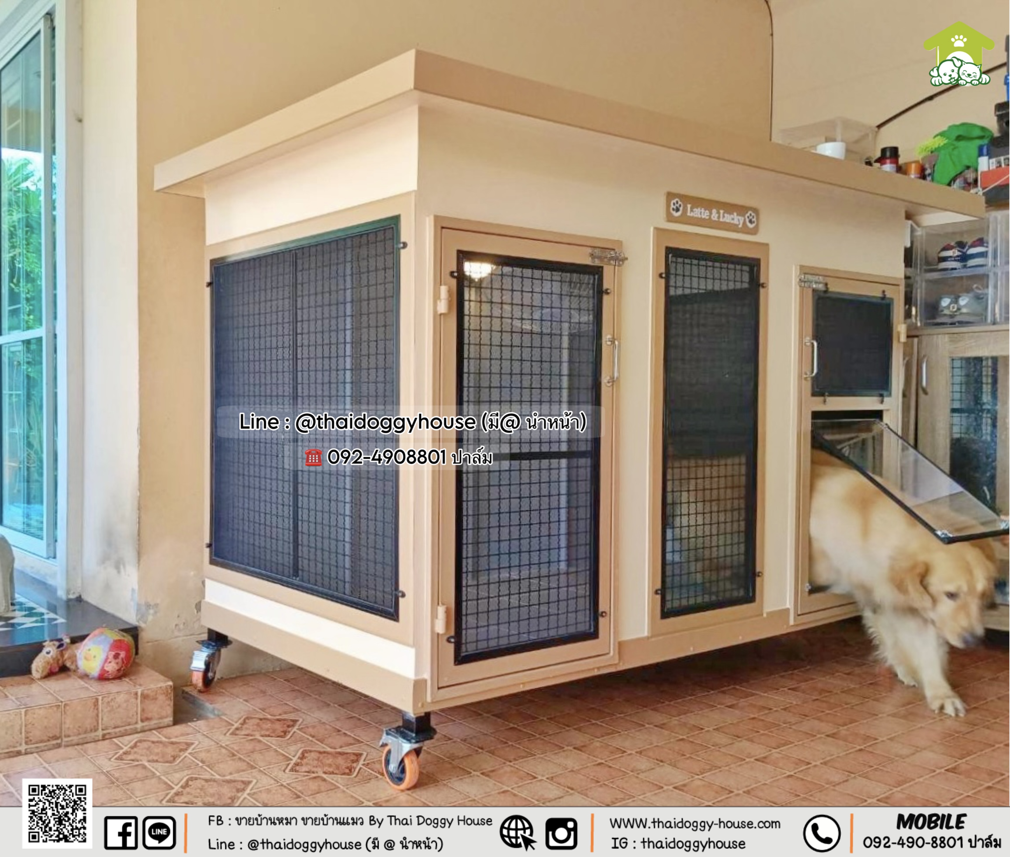 🏡 บ้านหมา บ้านแมว " 𝐁𝐎𝐗 𝐒𝐓𝐘𝐋𝐄 𝐁𝐘 𝐓𝐇𝐀𝐈 𝐃𝐎𝐆𝐆𝐘 𝐇𝐎𝐔𝐒𝐄