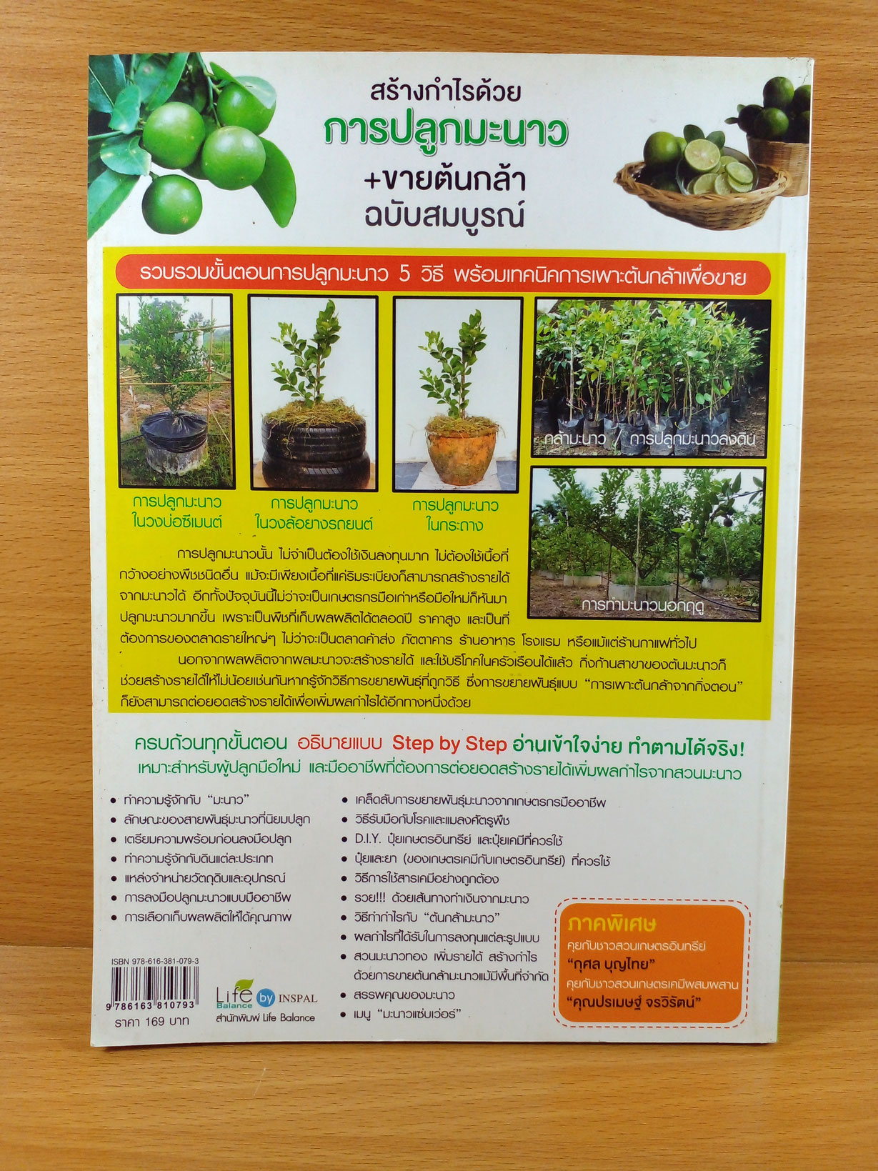 สร้างกำไรด้วยการปลูกมะนาว+ขายต้นกล้า