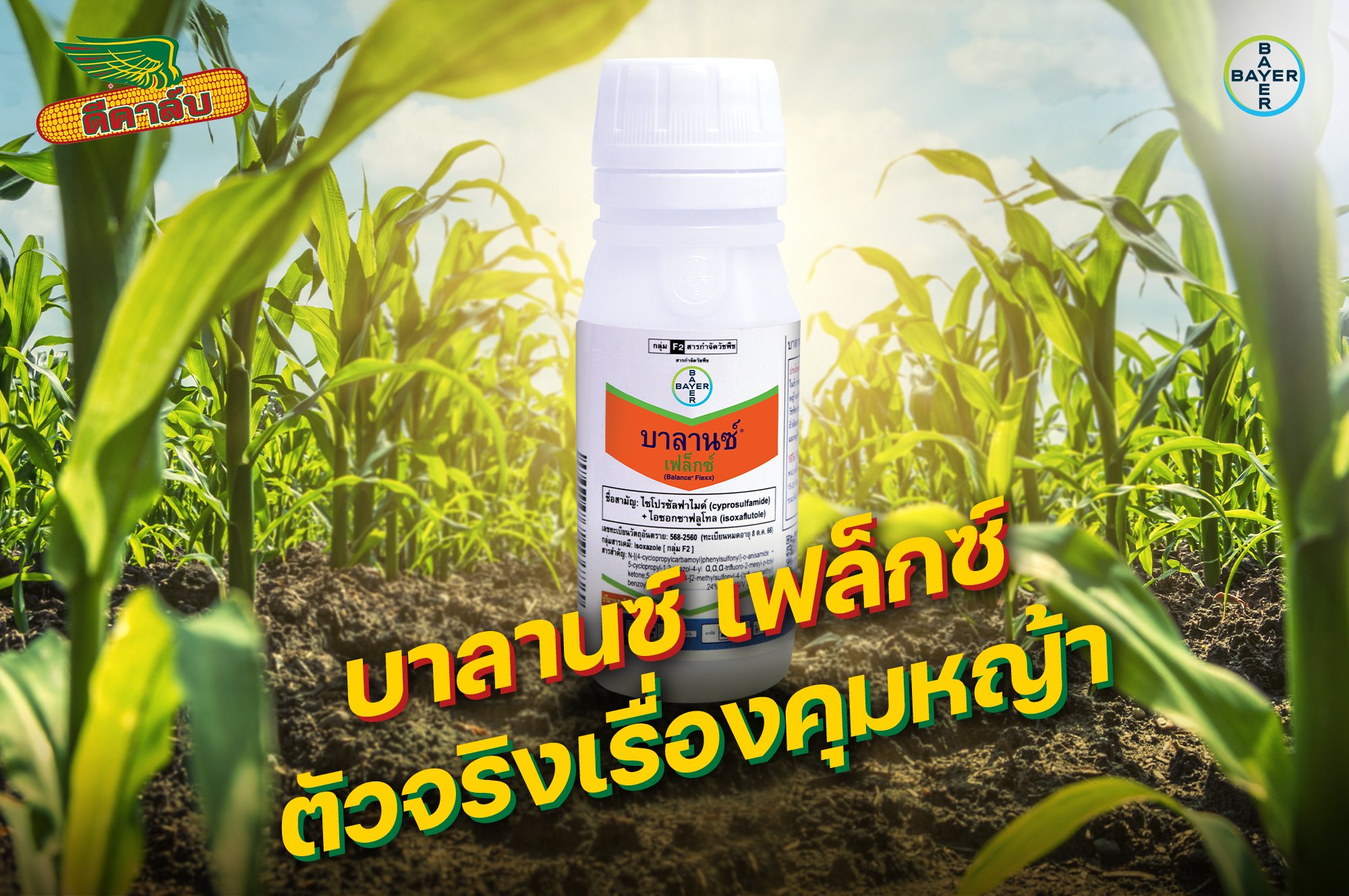 เลาดิส+ฮาสเทน 250ml.+ 500ml. เทมโปรไตรโอน กำจัดหญ้า วัชพืช ข้าวโพดผี ข้าวฟ่างผี ในไร่ข้าวโพด