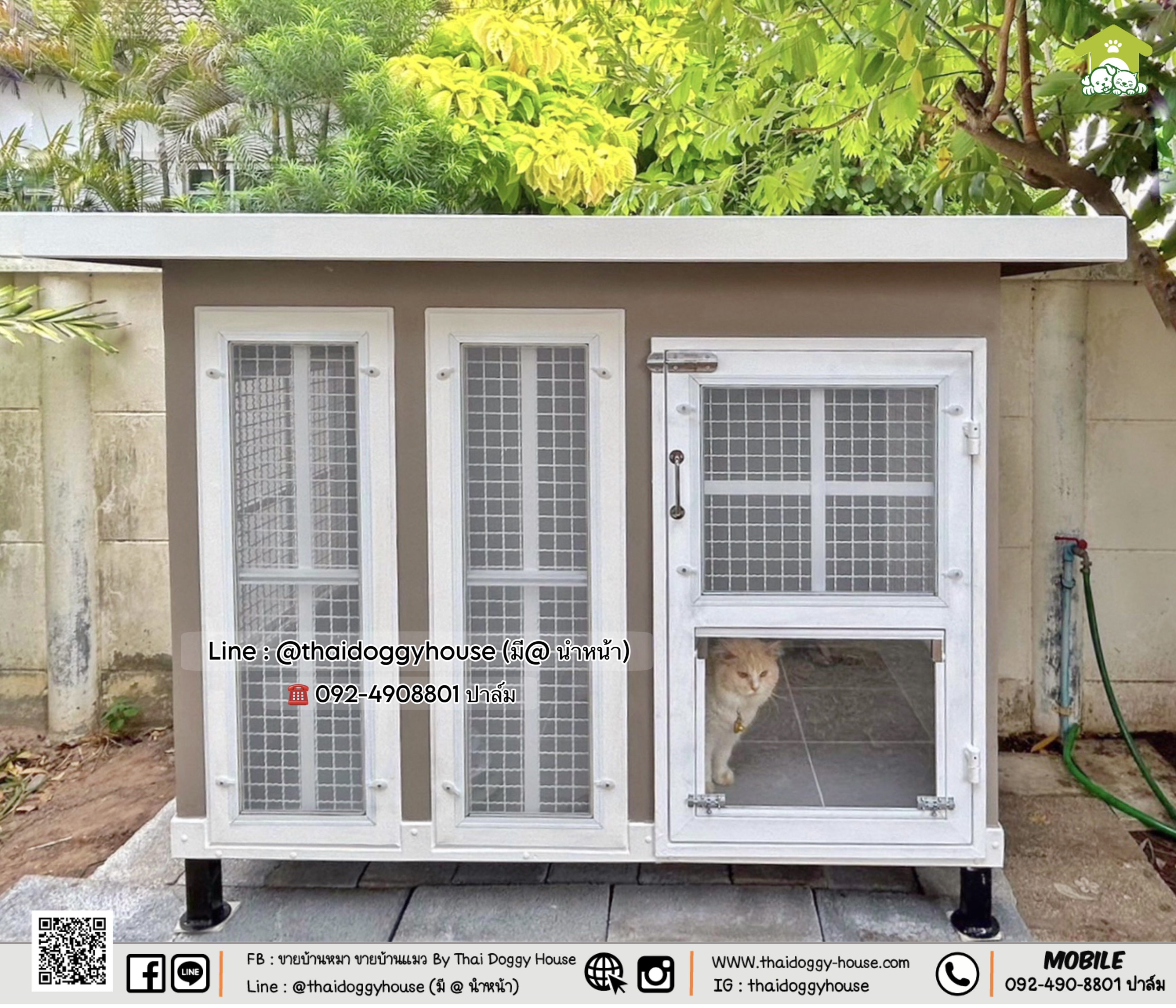 บ้านหมา บ้านแมว " 𝐁𝐎𝐗 𝐒𝐓𝐘𝐋𝐄 𝐁𝐘 𝐓𝐇𝐀𝐈 𝐃𝐎𝐆𝐆𝐘 𝐇𝐎𝐔𝐒𝐄 "