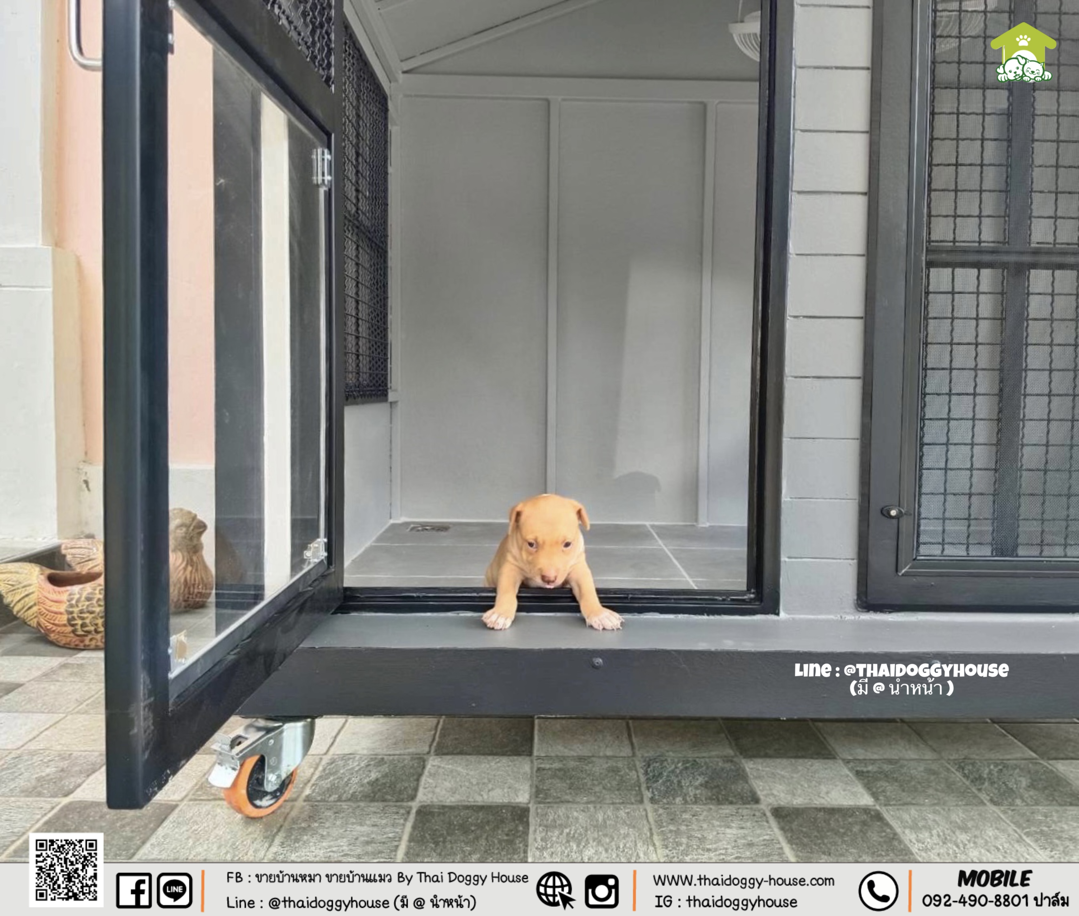 บ้านหมา บ้านแมว " 𝐍𝐎𝐑𝐃𝐈𝐂 𝐒𝐓𝐘𝐋𝐄 " มีตะแกรงเหล็ก มุ้งลวด พร้อมประตูบานสวิง ให้น้องๆเข้า- ออกเองได้ อากาศถ่ายเทได้ดี