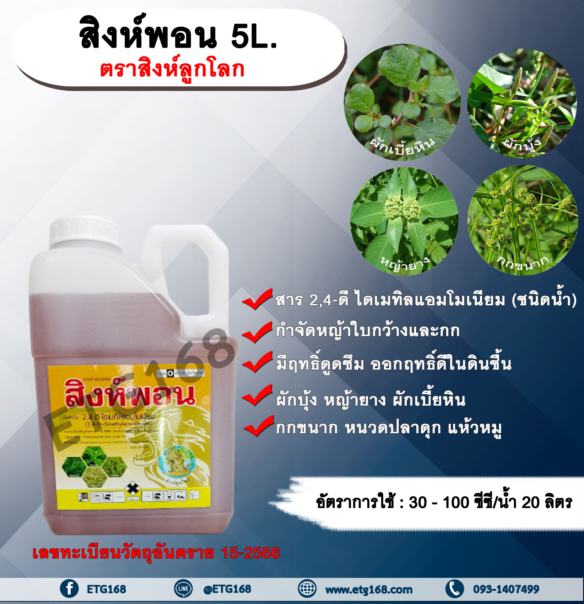 สิงห์พอน 5L. ตราสิงห์ลูกโลก 24ดี ไดเมทิลแอมโมเนียม ทูโฟดี สารกำจัดหญ้า กำจัดวัชพืช แบบดูดซึม ใบกว้าง และกก กำจัดหญ้ายาง
