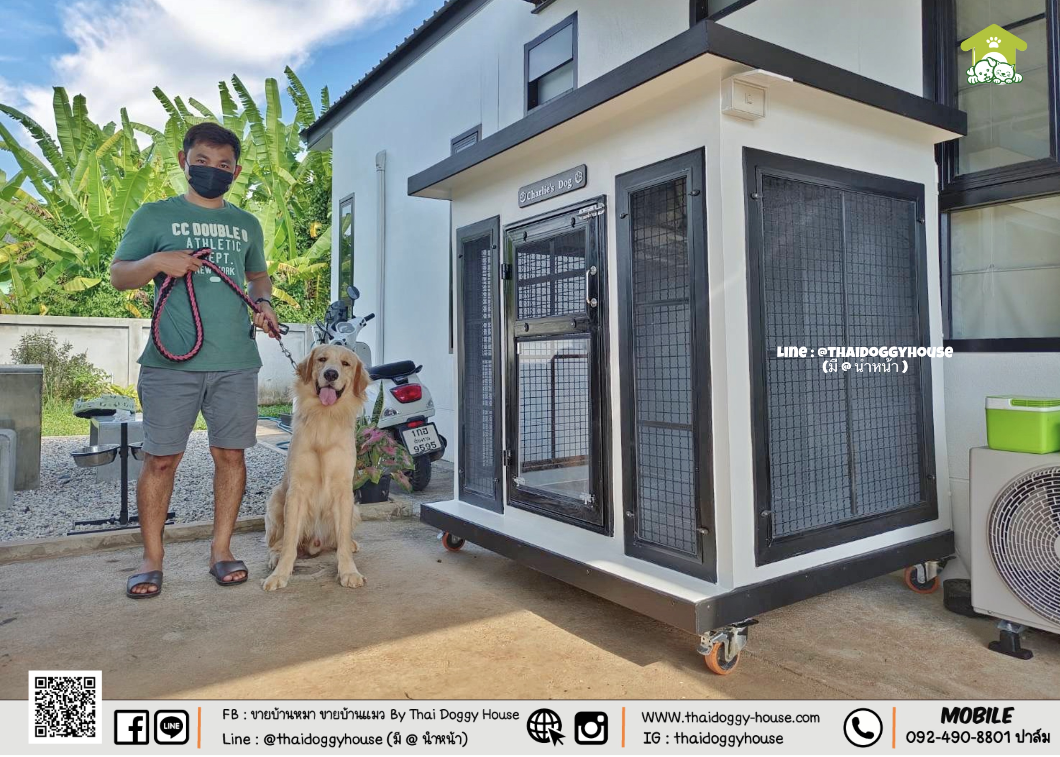 บ้านหมา บ้านแมว " 𝐁𝐎𝐗 𝐒𝐓𝐘𝐋𝐄 𝐁𝐘 𝐓𝐇𝐀𝐈 𝐃𝐎𝐆𝐆𝐘 𝐇𝐎𝐔𝐒𝐄 " &#x