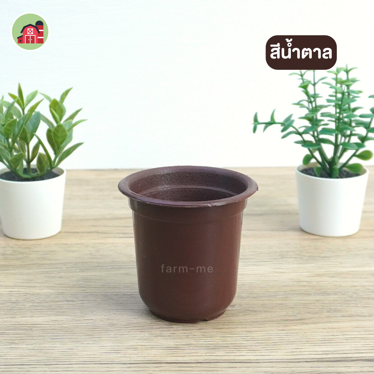 กระถางแคตตัส ทรงถ้วยจีน ขนาด 3 นิ้ว แพ็ค50ใบ