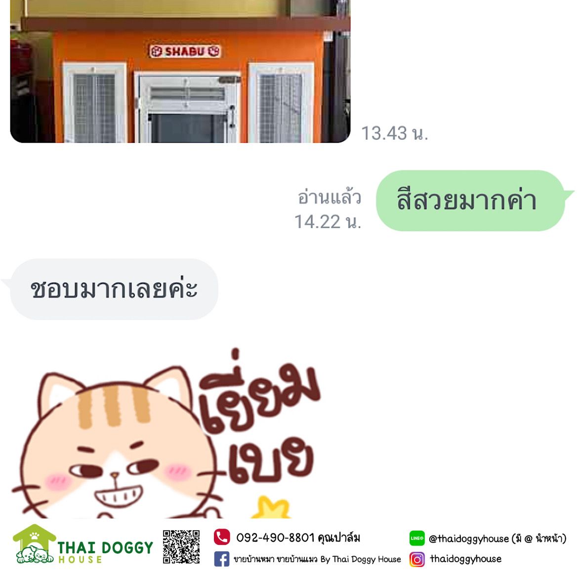 บ้านหมา บ้านแมวราคาถูก Box Style