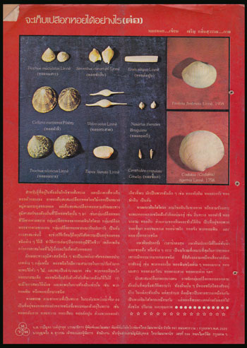 ชัยพฤกษ์ ปีที่ 27 ฉบับที่ 3 / 22 มกราคม 2523 008045