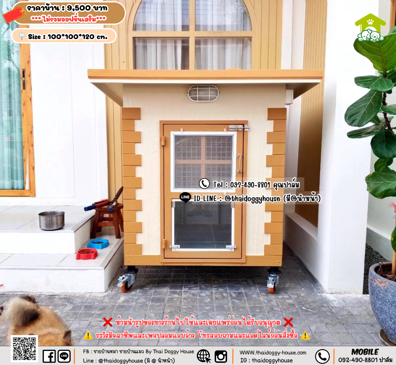 บ้านหมา บ้านแมว 𝐓𝐡𝐚𝐢 𝐝𝐨𝐠𝐠𝐲 𝐡𝐨𝐮𝐬𝗲