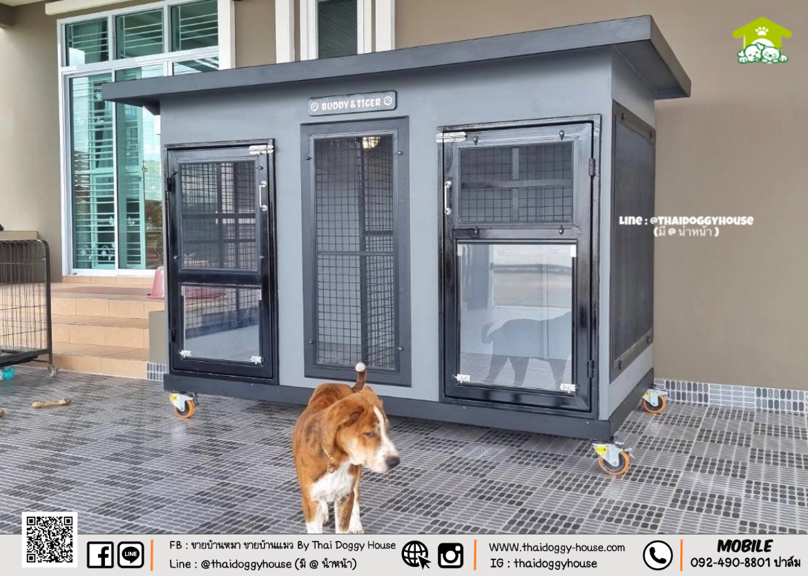 บ้านหมา บ้านแมว " 𝐁𝐎𝐗 𝐒𝐓𝐘𝐋𝐄 𝐁𝐘 𝐓𝐇𝐀𝐈 𝐃𝐎𝐆𝐆𝐘 𝐇𝐎𝐔𝐒𝐄 " &#x