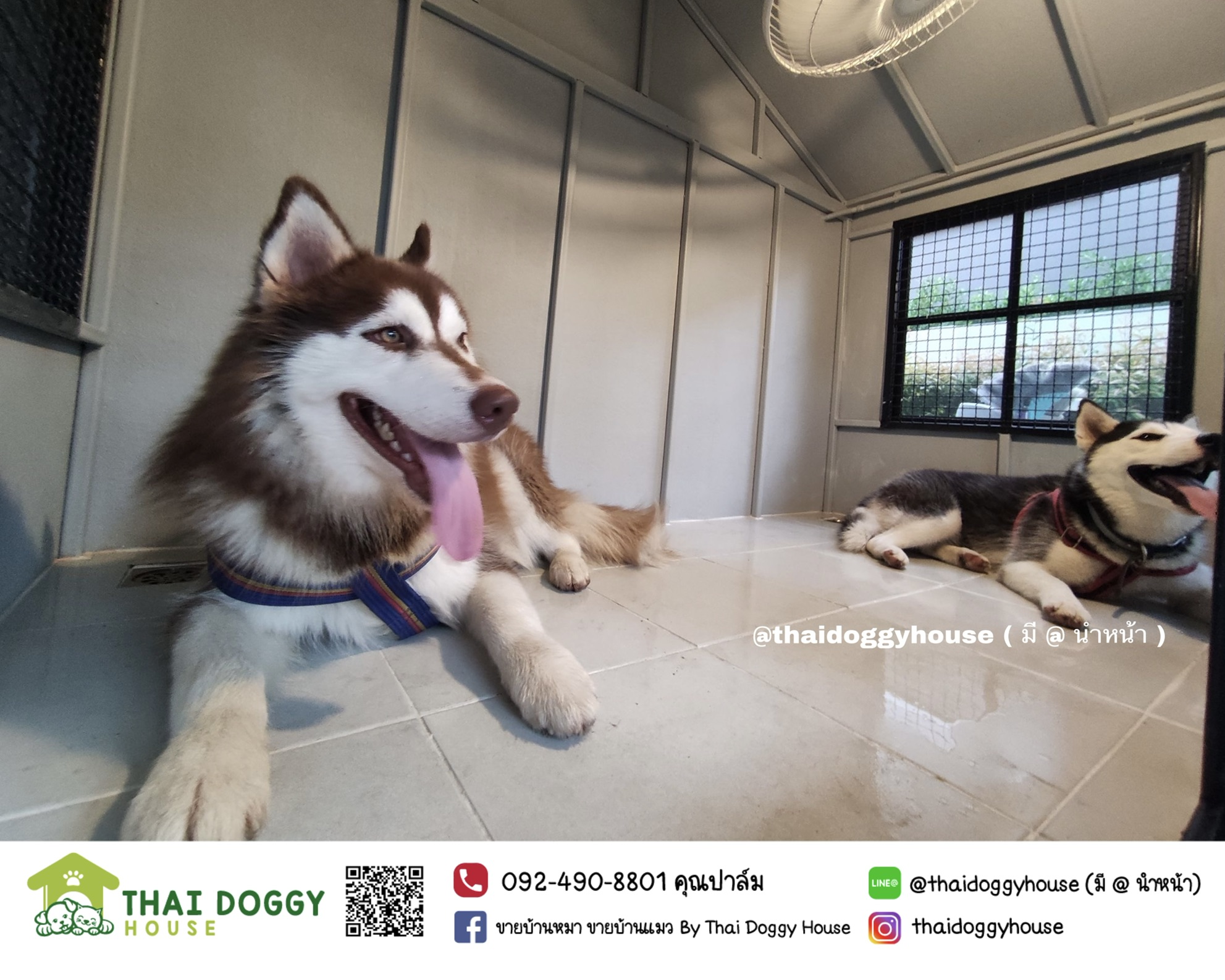 บ้านหมา บ้านแมว " 𝐍𝐎𝐑𝐃𝐈𝐂 𝐒𝐓𝐘𝐋𝐄 " มีตะแกรงเหล็ก มุ้งลวด พร้อมประตูบานสวิง ให้น้องๆเข้า-ออกเองได้ อากาศถ่ายเทได้ดี