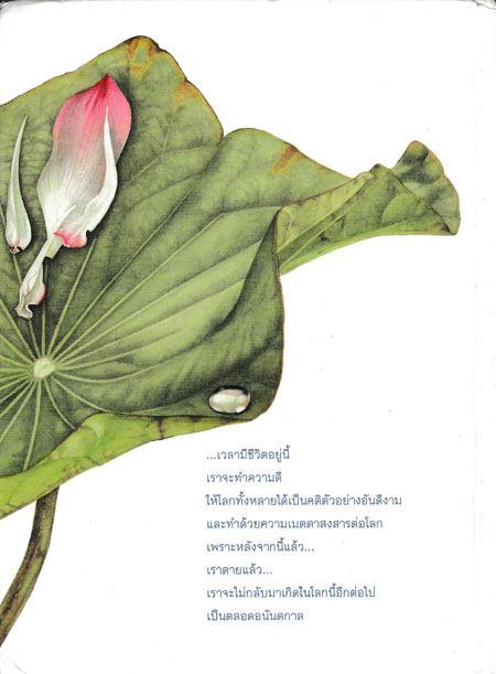 หยดน้ำบนใบบัว 024017