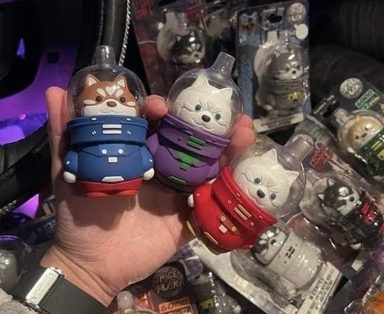 ☃️📌sale โปรโมชั่น Space huski 8000puffs