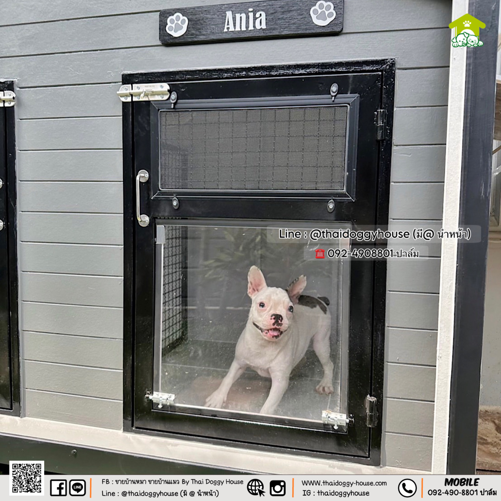 บ้านหมา บ้านแมว 𝐓𝐡𝐚𝐢 𝐝𝐨𝐠𝐠𝐲 𝐡𝐨𝐮𝐬𝐞