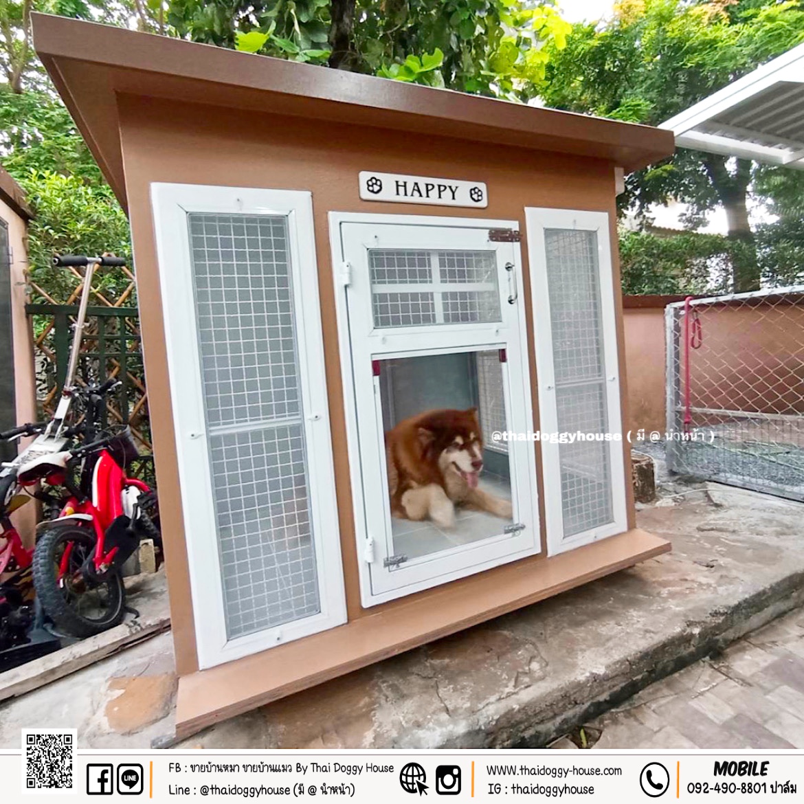 บ้านหมา บ้านแมว Box Style ตะแกรงเหล็ก มุ้งลวด