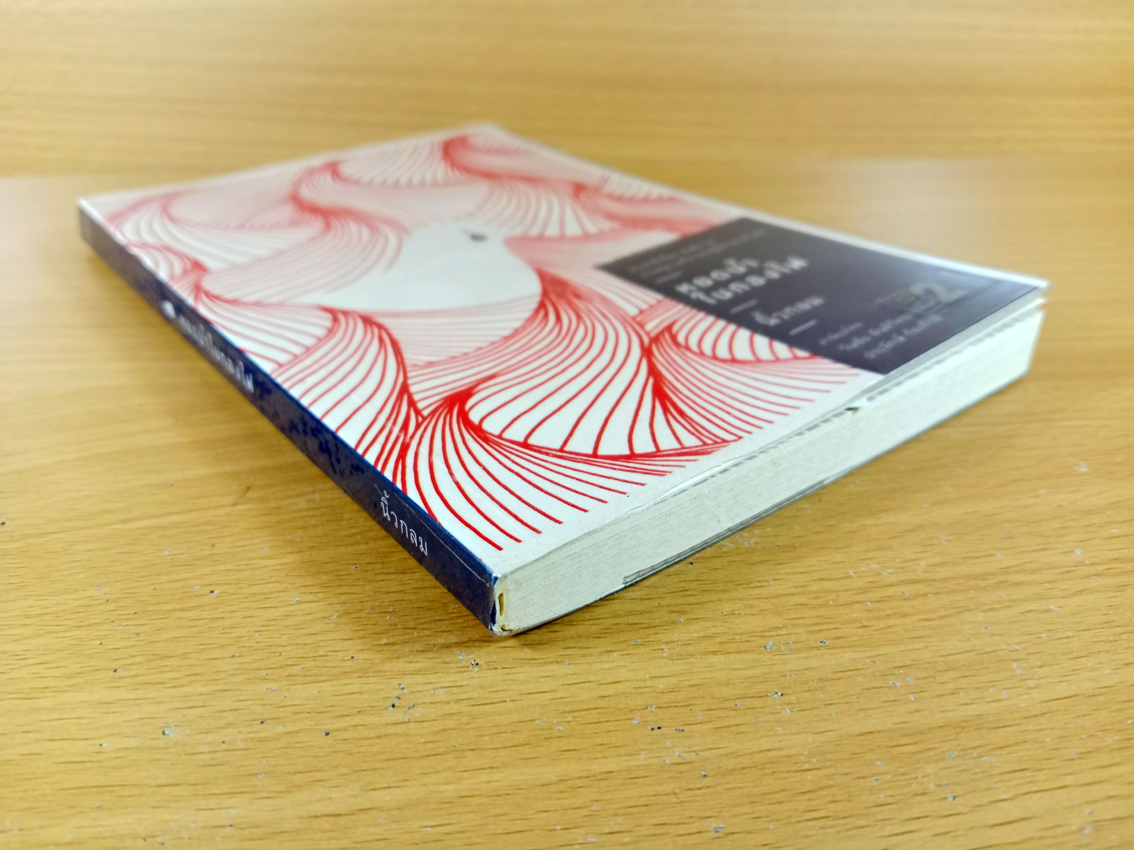 หยดน้ำในกองไฟ ประชาธิปไตย สันติภาพ การอยู่ร่วมกัน และผู้มีอำนาจตัวจริง