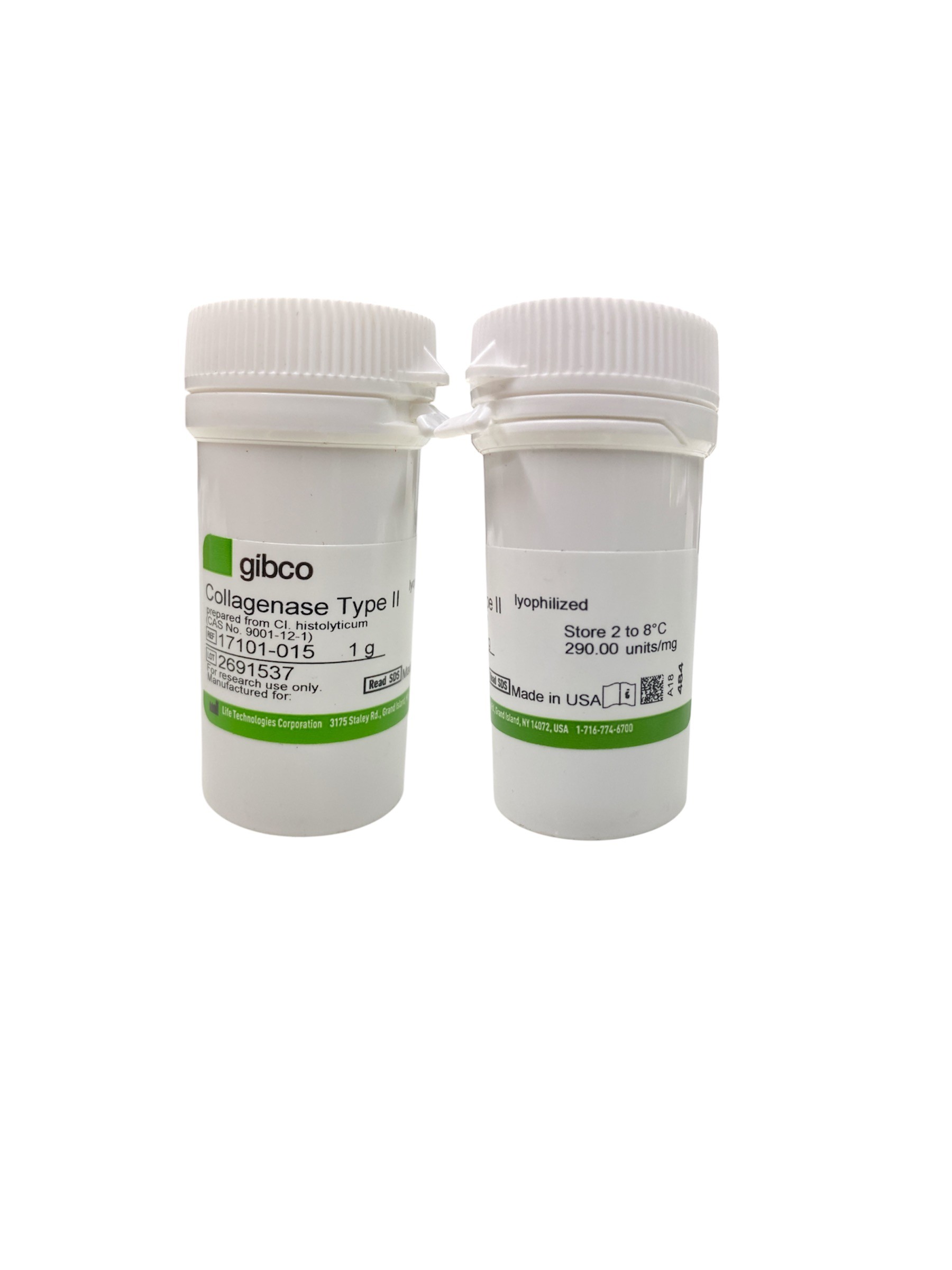 Gibco™ Collagenase, Type II, powder 1 g -17101015