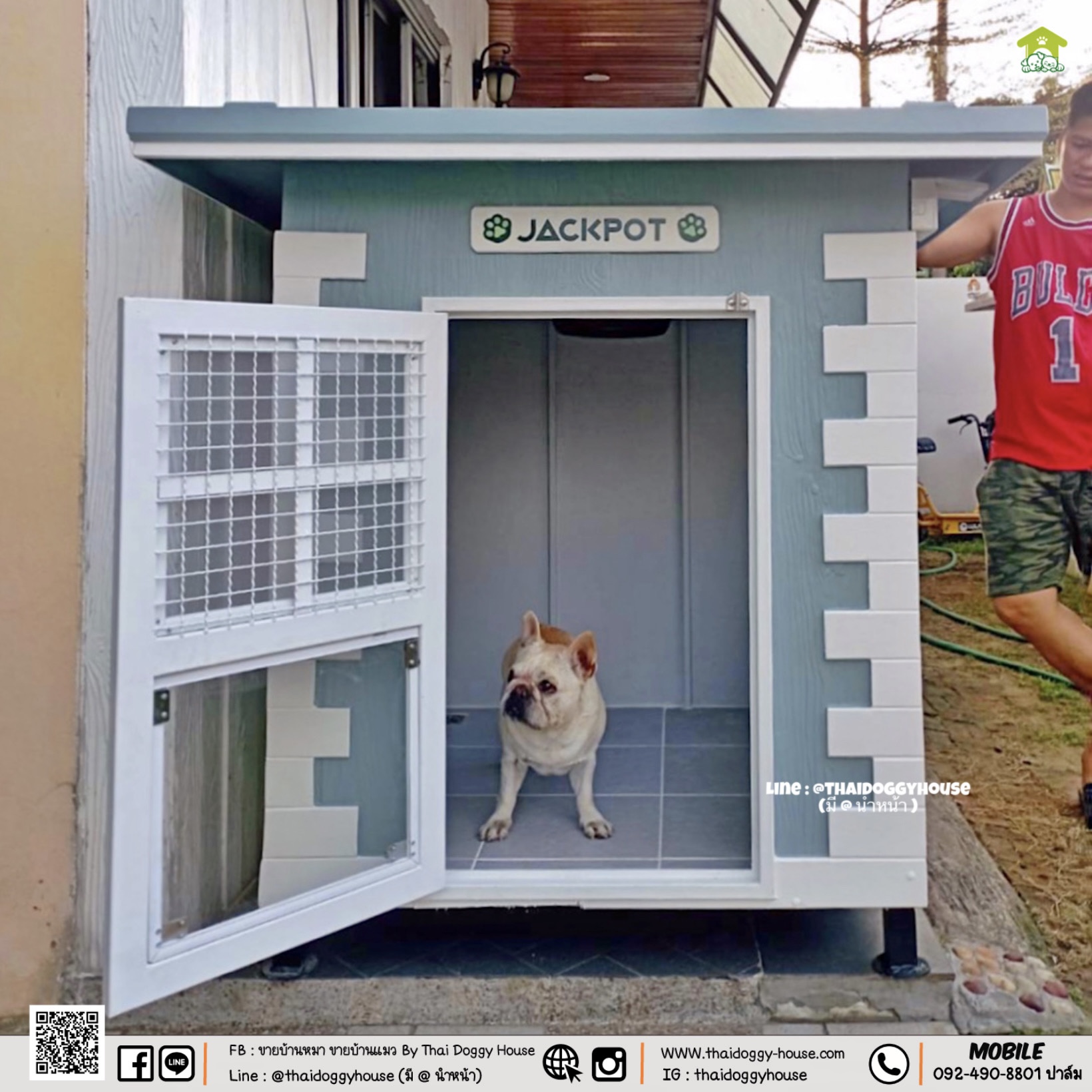บ้านหมา บ้านแมว " 𝐁𝐎𝐗 𝐒𝐓𝐘𝐋𝐄 " หลังขนาดกลางพอดีๆ กำลังน่ารัก มีพร้อมตะแกรงเหล็ก มุ้งลวด