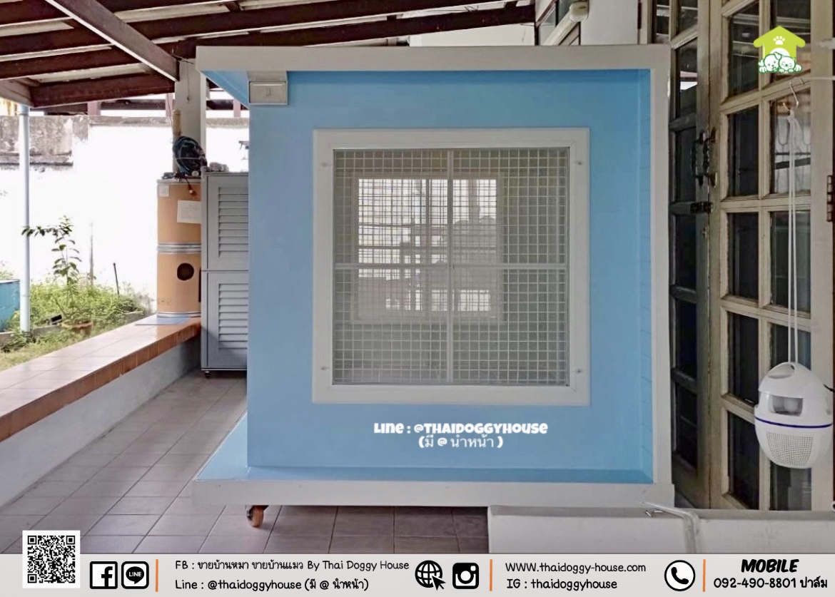 บ้านหมา บ้านแมว " 𝐁𝐎𝐗 𝐒𝐓𝐘𝐋𝐄 𝐁𝐘 𝐓𝐇𝐀𝐈 𝐃𝐎𝐆𝐆𝐘 𝐇𝐎𝐔𝐒𝐄 " &#x