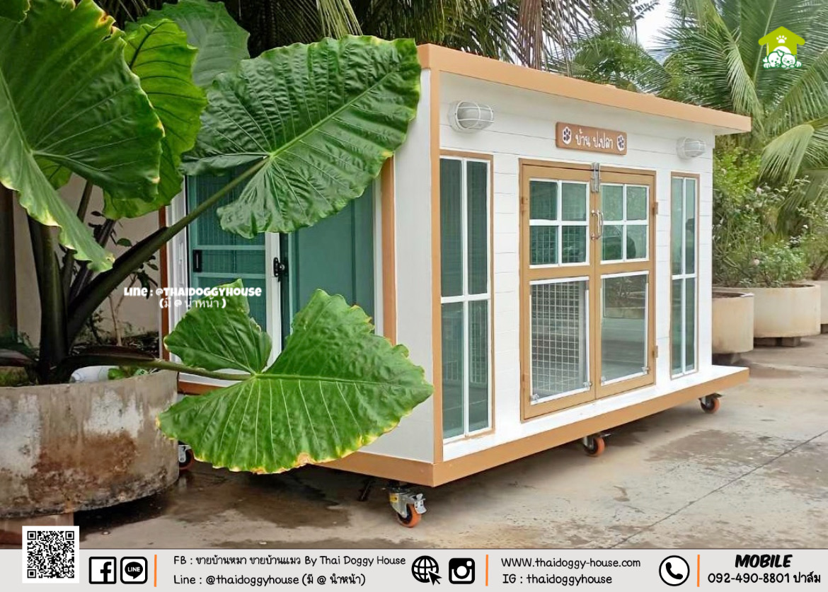 บ้านหมา บ้านแมว " 𝐁𝐎𝐗 𝐒𝐓𝐘𝐋𝐄 𝐁𝐘 𝐓𝐇𝐀𝐈 𝐃𝐎𝐆𝐆𝐘 𝐇𝐎𝐔𝐒𝐄 " &#x