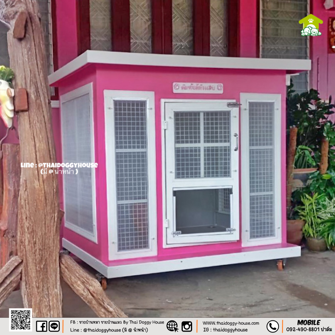 🏡 บ้านหมา บ้านแมว " 𝐁𝐎𝐗 𝐒𝐓𝐘𝐋𝐄 𝐁𝐘 𝐓𝐇𝐀𝐈 𝐃𝐎𝐆𝐆𝐘 𝐇𝐎𝐔𝐒𝐄