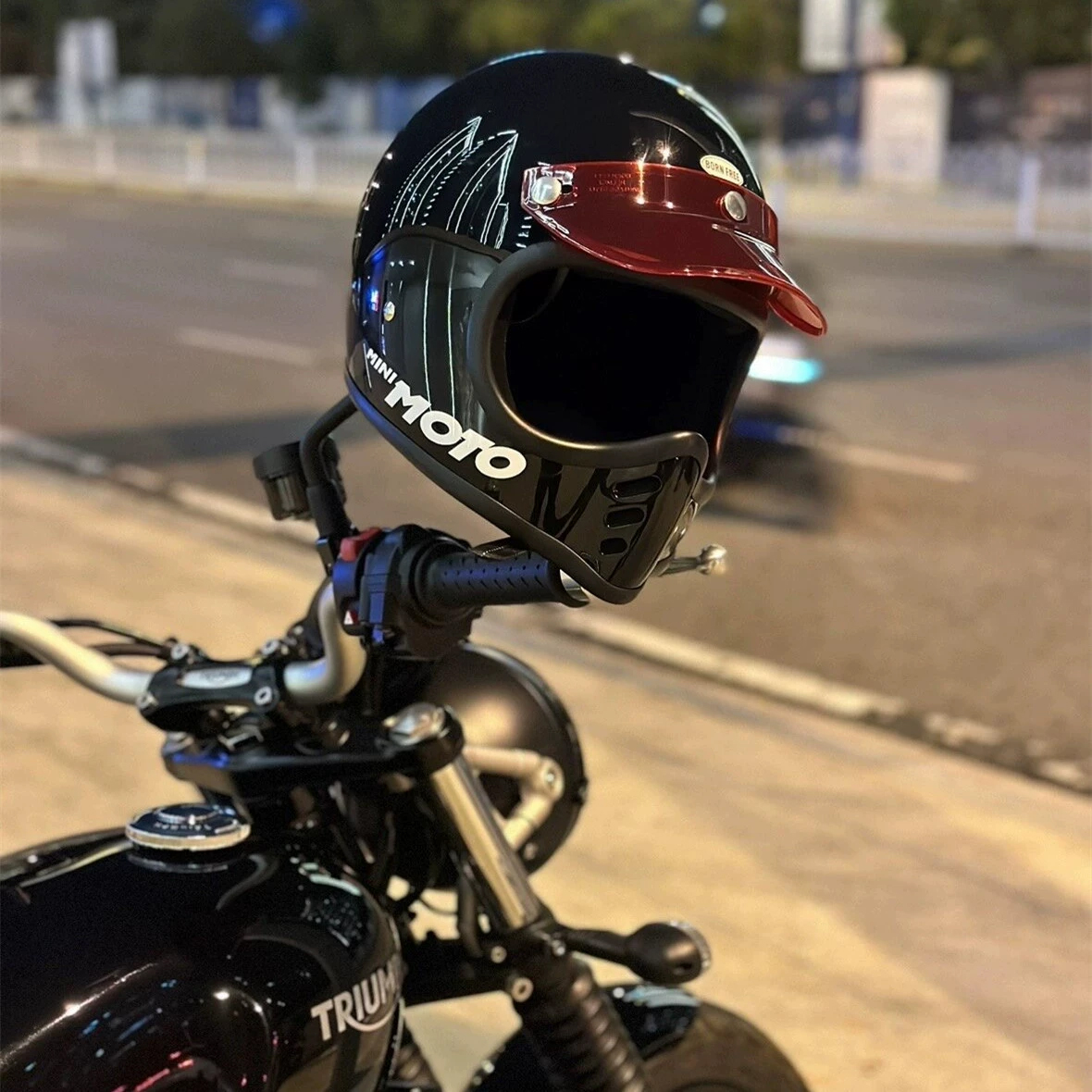 BORN FREE HELMET