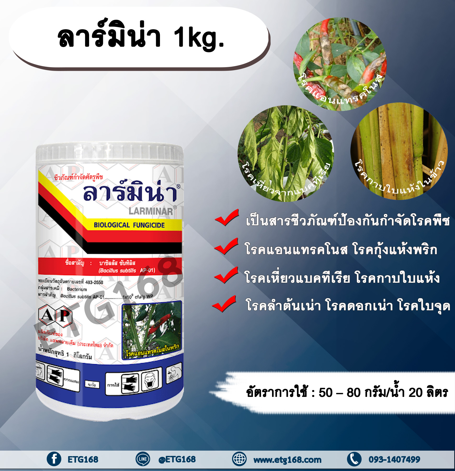 ลาร์มิน่า 1kg. บาซิลลัส ซับทิลิส ป้องกันกำจัดเชื้อราและแบคทีเรีย สารชีวภัณฑ์ เกษตรอินทรีย์ โรคแอนแทรคโนส โรคกุ้งแห้งพริก โรคเหี่ยวจากแบคทีเรีย โรคกาบใบแห้งข้าว โรคเหี่ยวจากแบคทีเรีย โรคกาบใบแห้ง